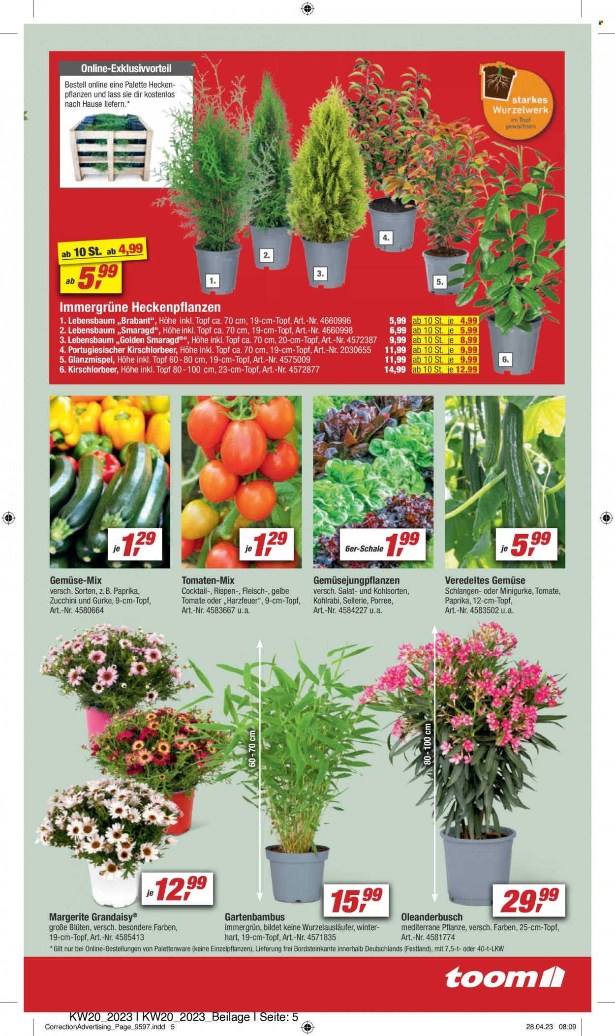 toom Baumarkt Prospekte  - 13.05.2023 - 19.05.2023. Seite 5
