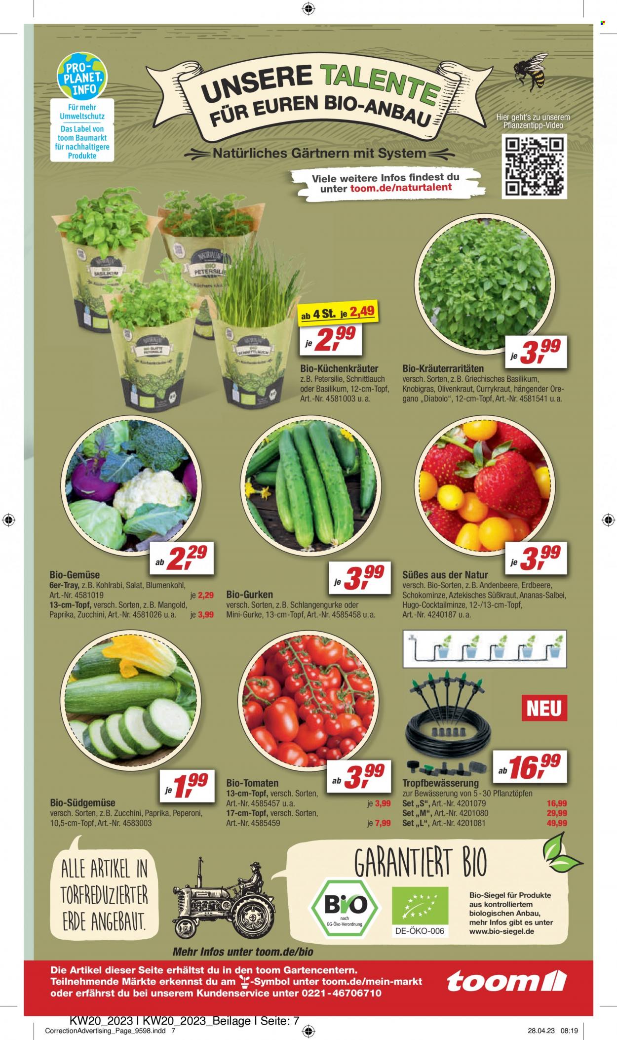 toom Baumarkt Prospekte  - 13.05.2023 - 19.05.2023. Seite 7