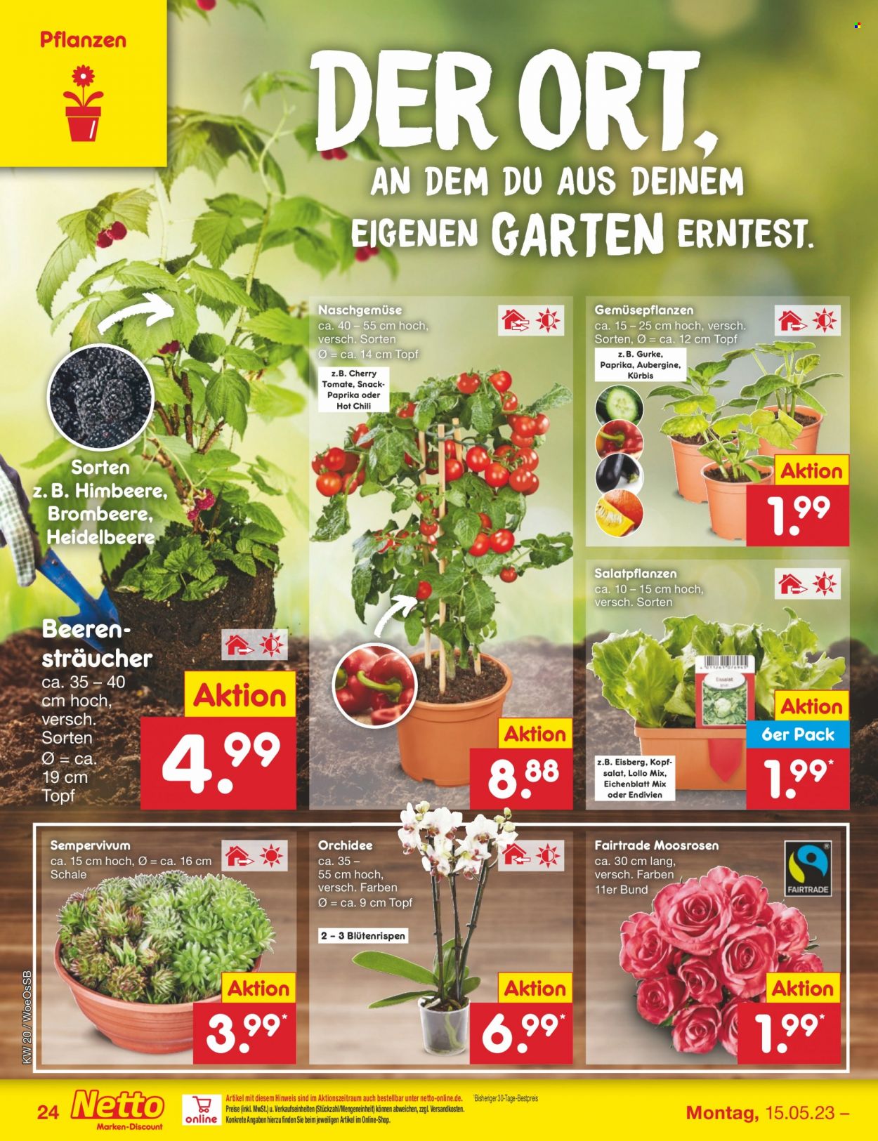 Netto Marken-Discount Prospekte  - 15.05.2023 - 20.05.2023. Seite 24