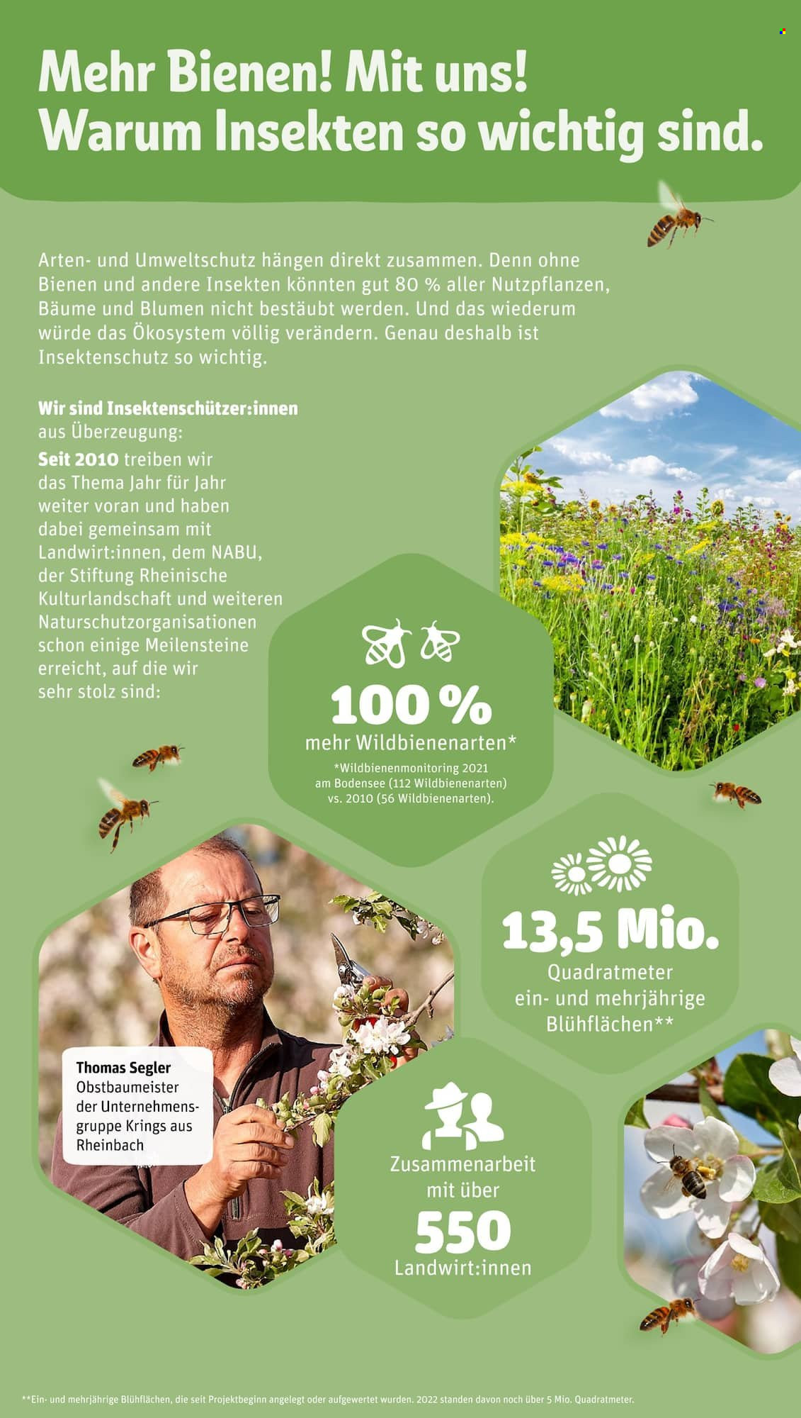 REWE Prospekte  - 15.05.2023 - 20.05.2023. Seite 15