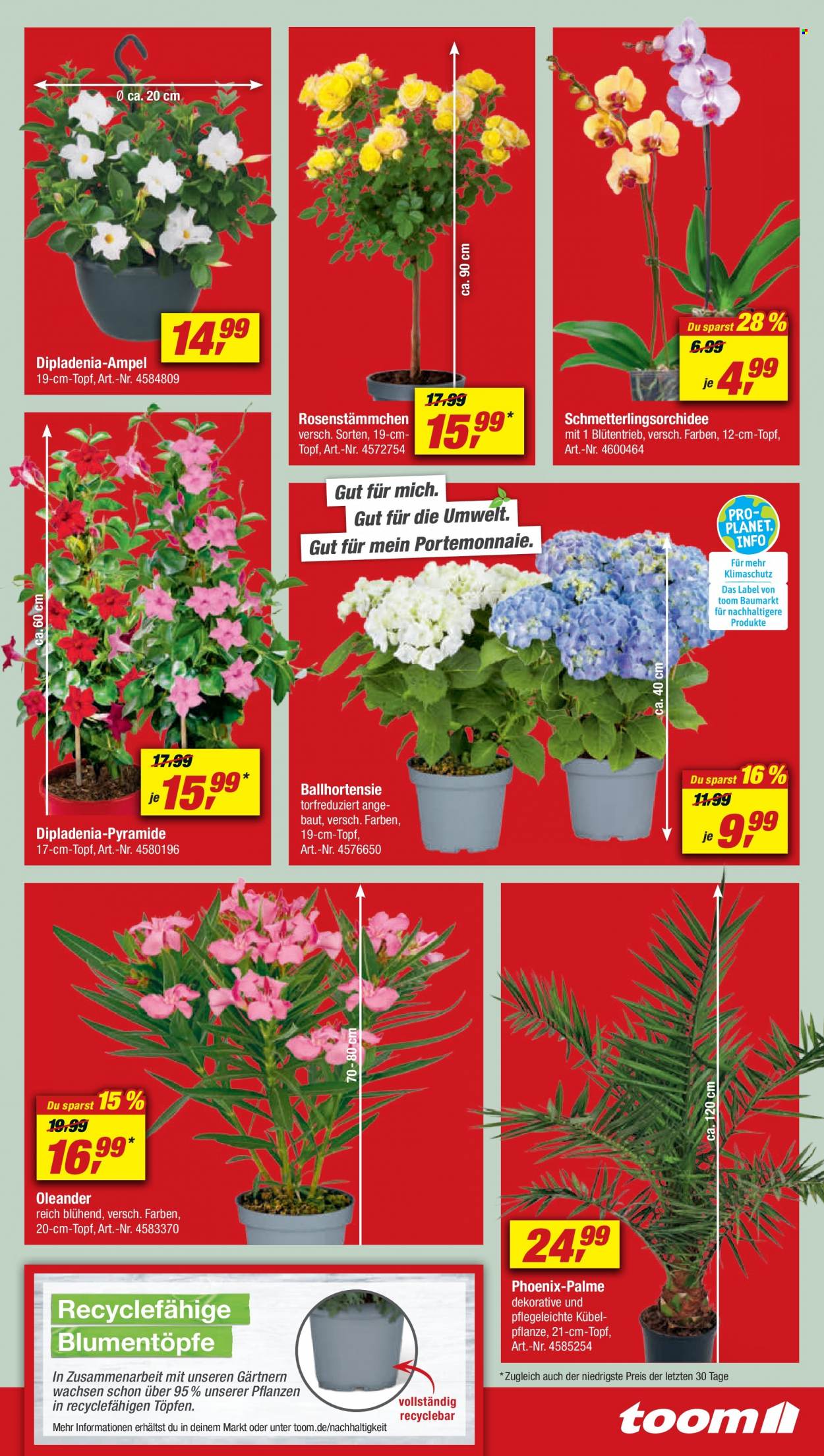 toom Baumarkt Prospekte  - 20.05.2023 - 26.05.2023. Seite 3