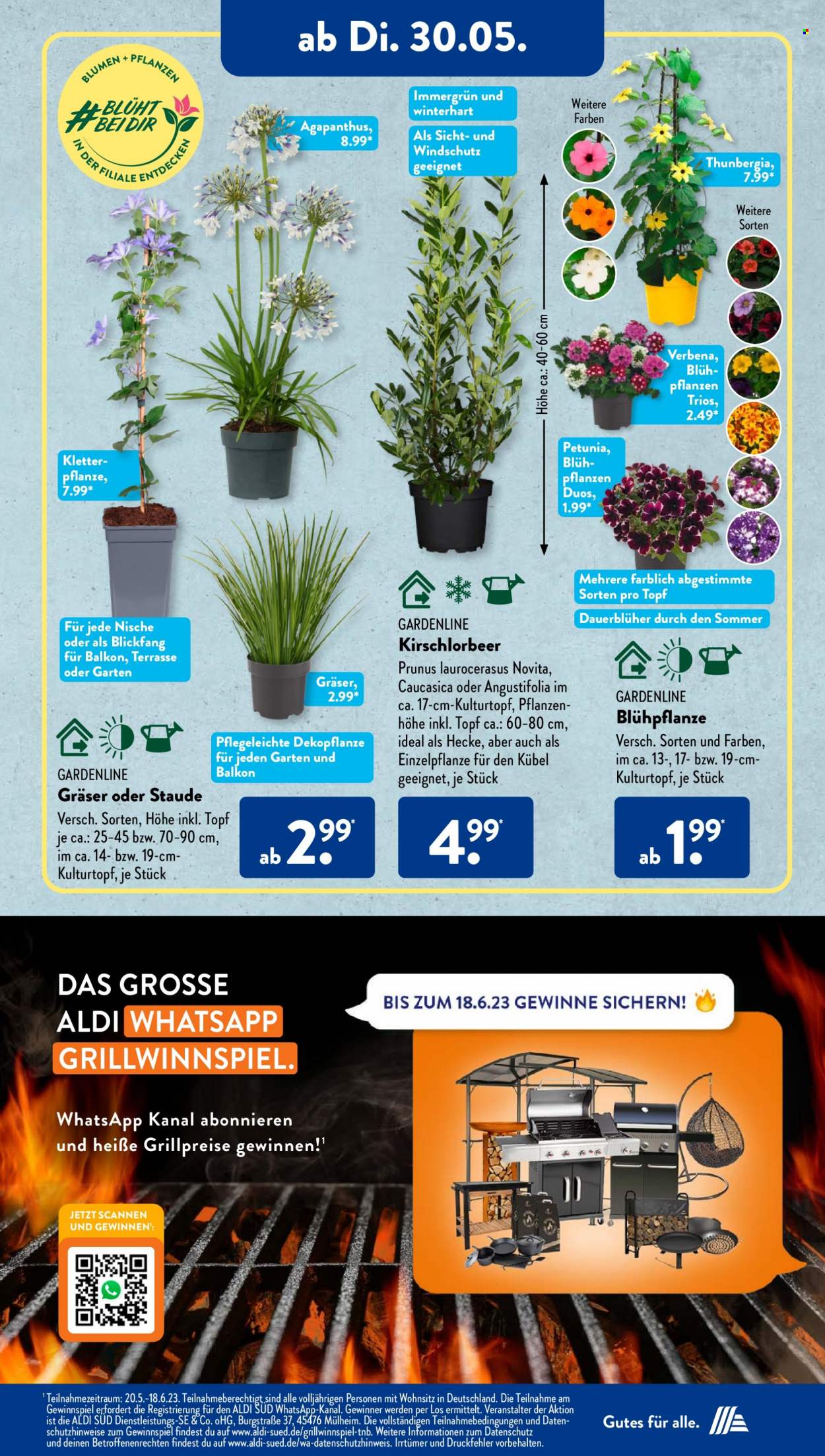 ALDI SÜD Prospekte  - 30.05.2023 - 3.06.2023. Seite 19