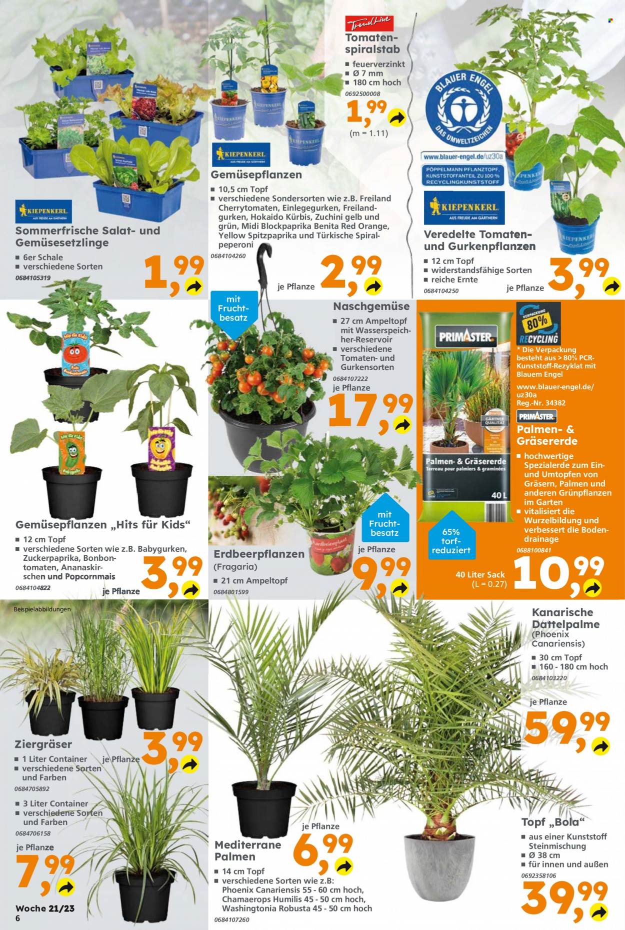 Globus Baumarkt Prospekte  - 22.05.2023 - 27.05.2023. Seite 6