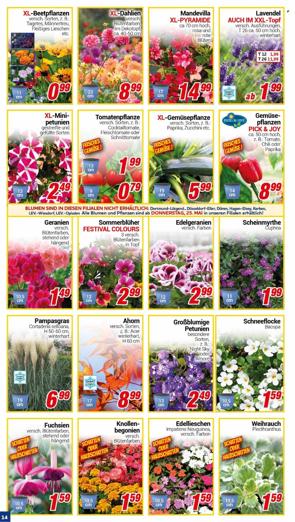CENTERSHOP Prospekte  - 22.05.2023 - 27.05.2023. Seite 14