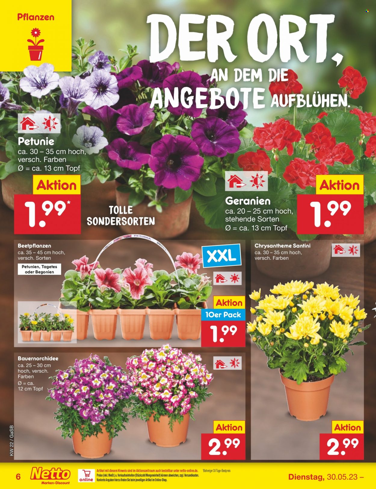 Netto Marken-Discount Prospekte  - 30.05.2023 - 3.06.2023. Seite 6