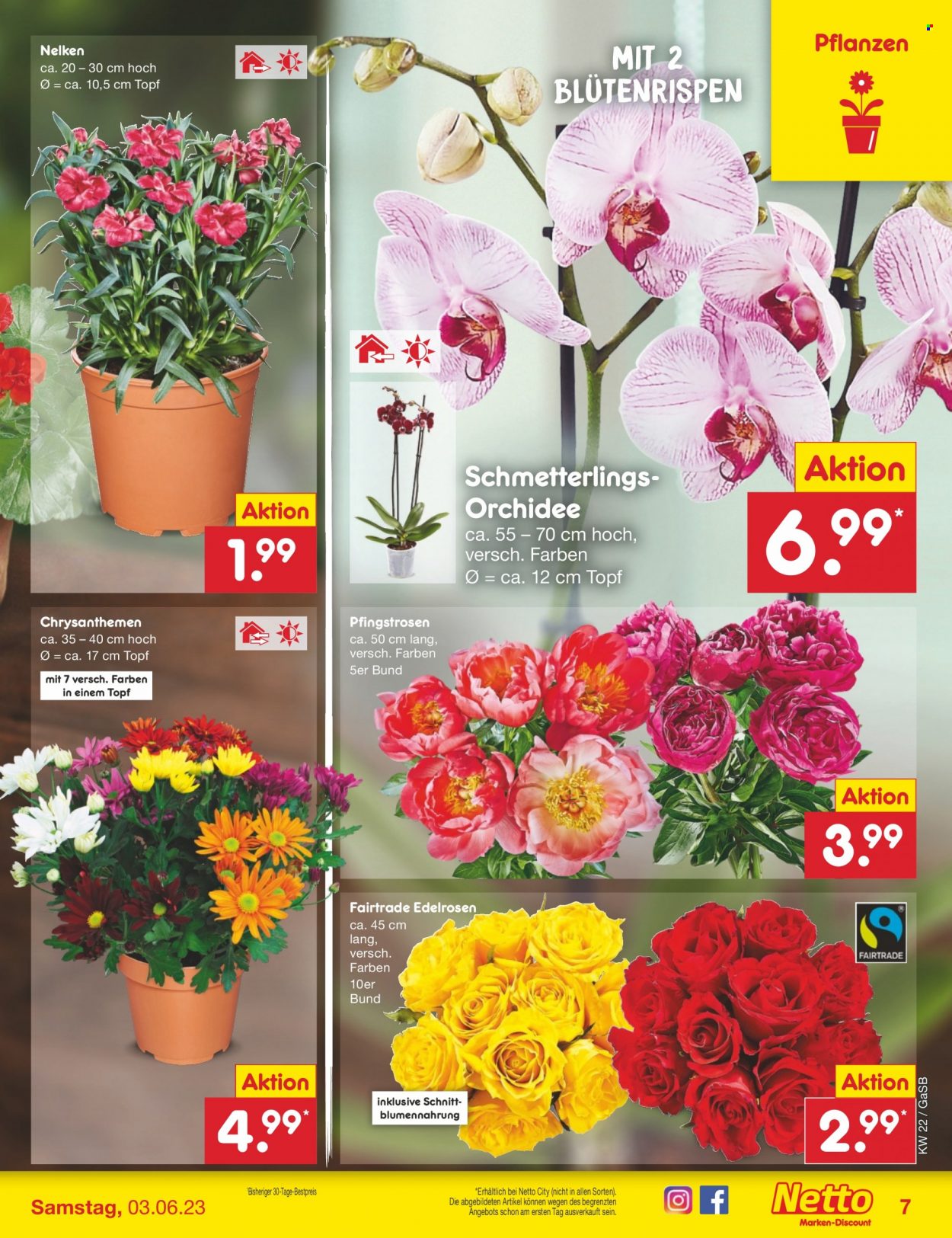 Netto Marken-Discount Prospekte  - 30.05.2023 - 3.06.2023. Seite 7
