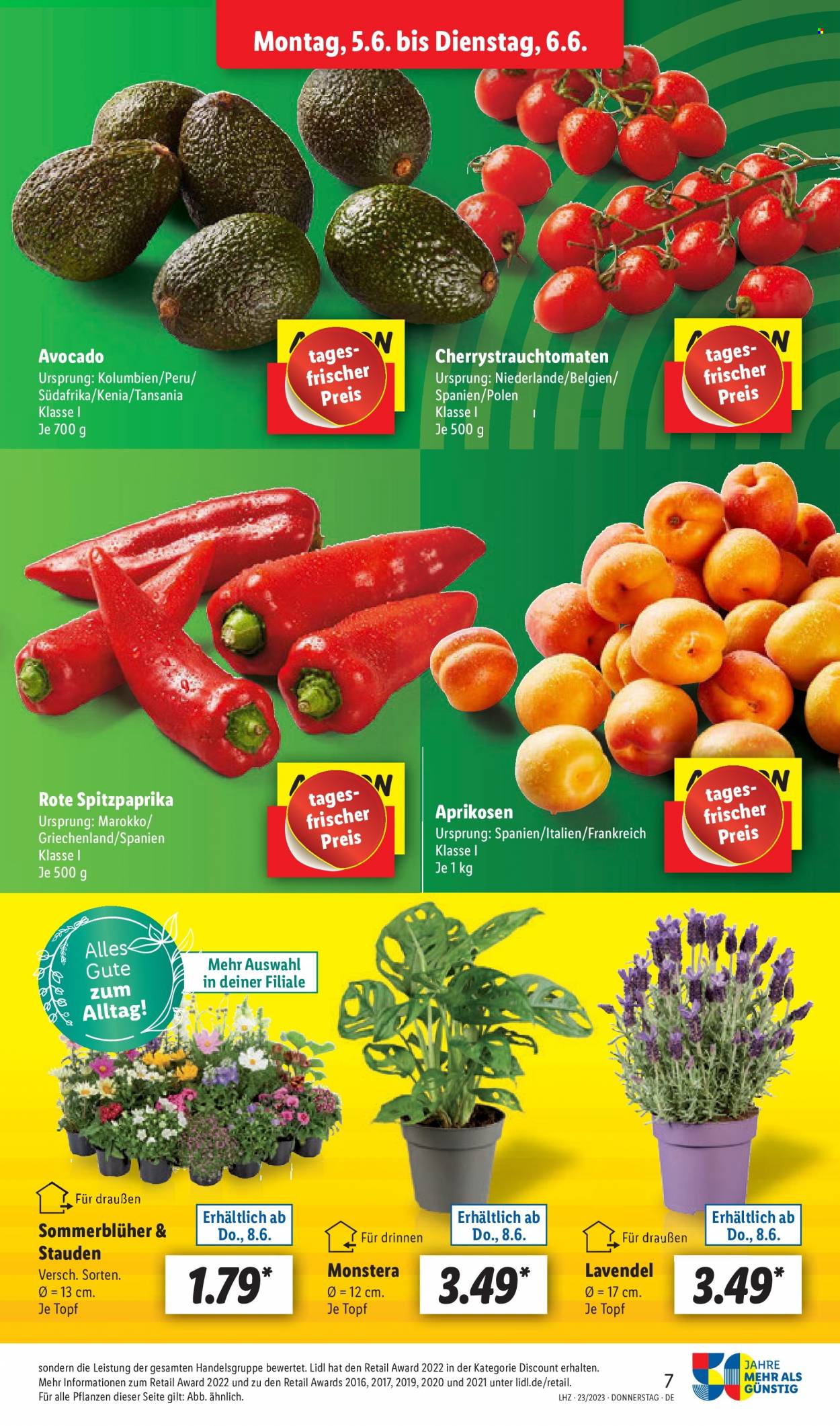 Lidl Prospekte  - 5.06.2023 - 10.06.2023. Seite 7