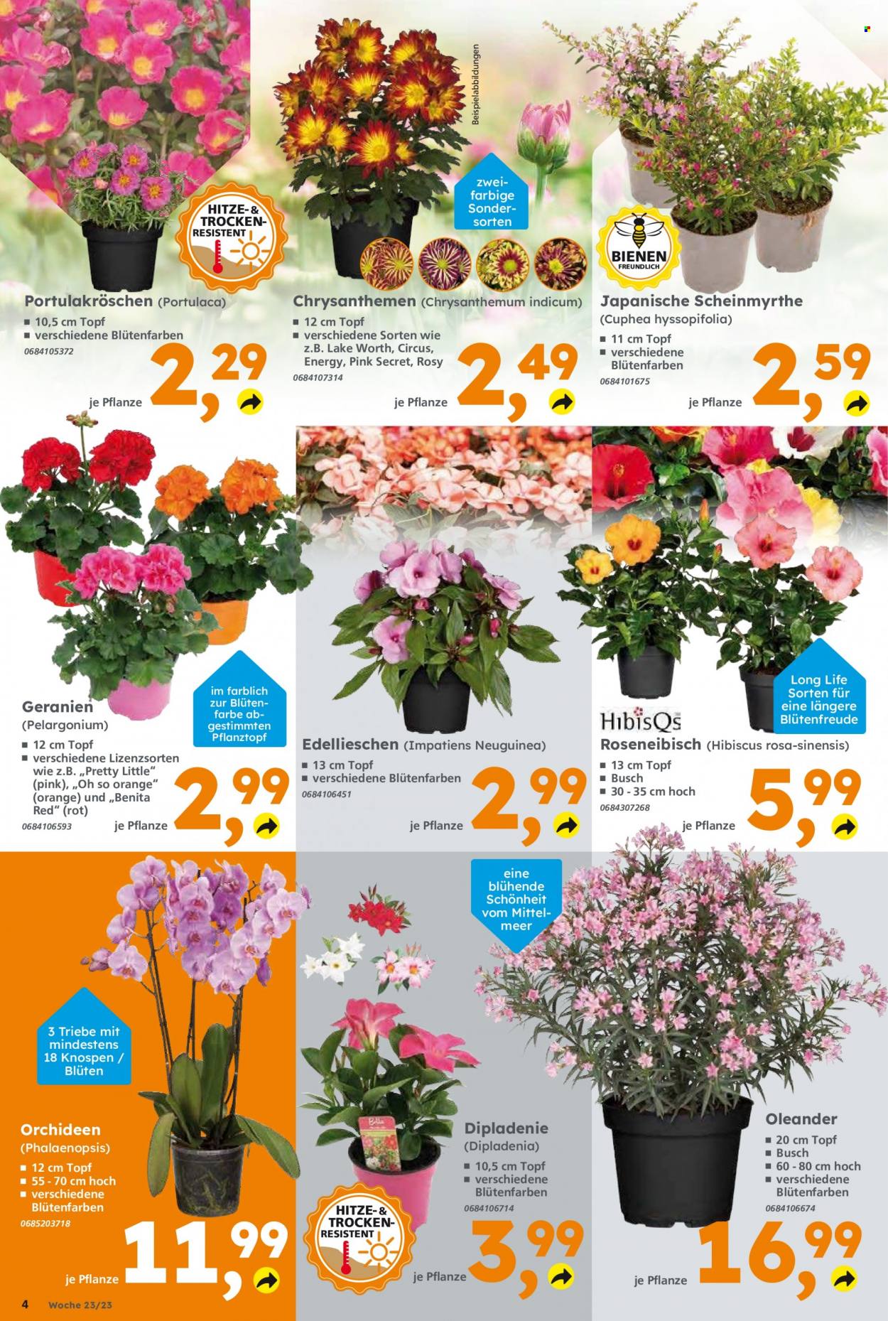 Globus Baumarkt Prospekte  - 5.06.2023 - 10.06.2023. Seite 4