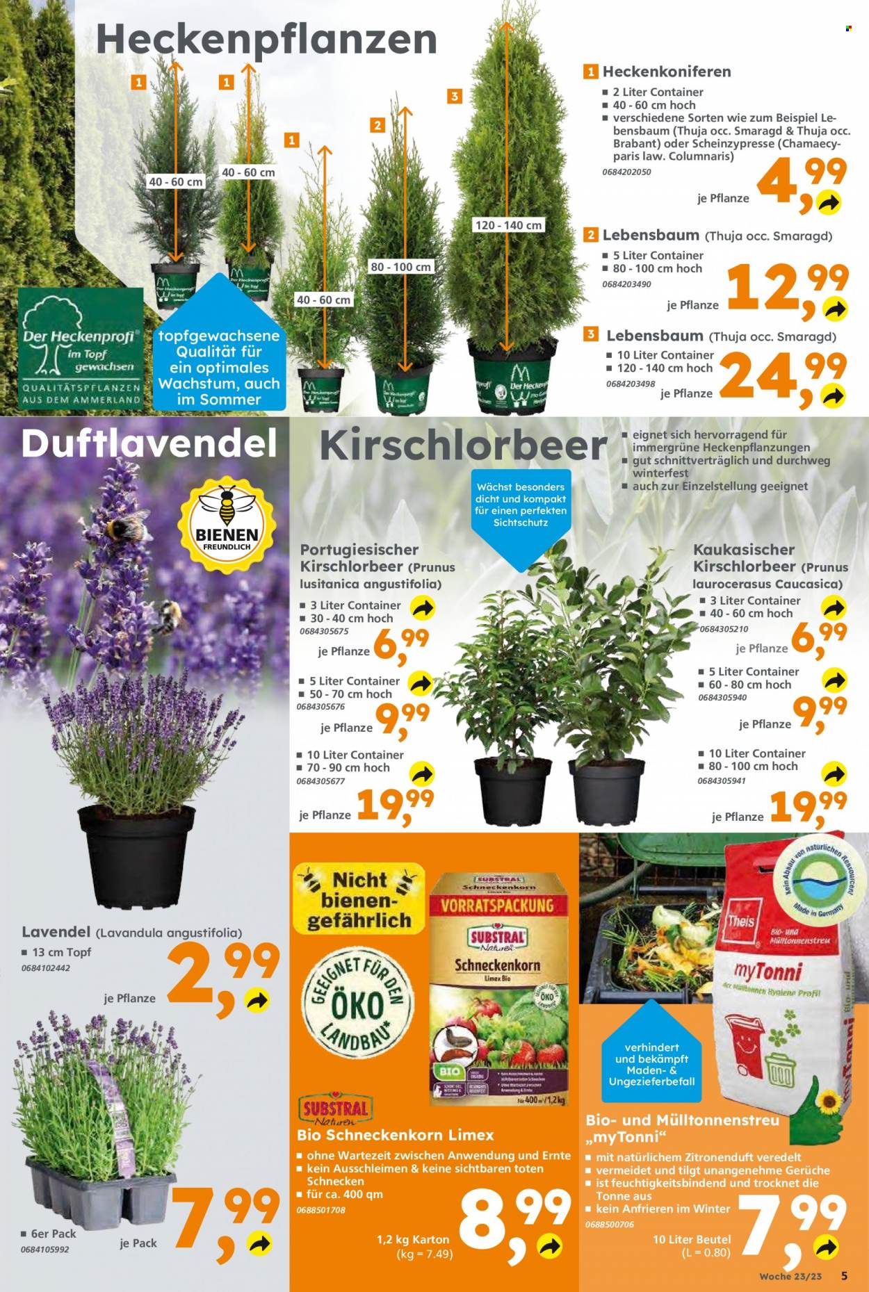 Globus Baumarkt Prospekte  - 5.06.2023 - 10.06.2023. Seite 5
