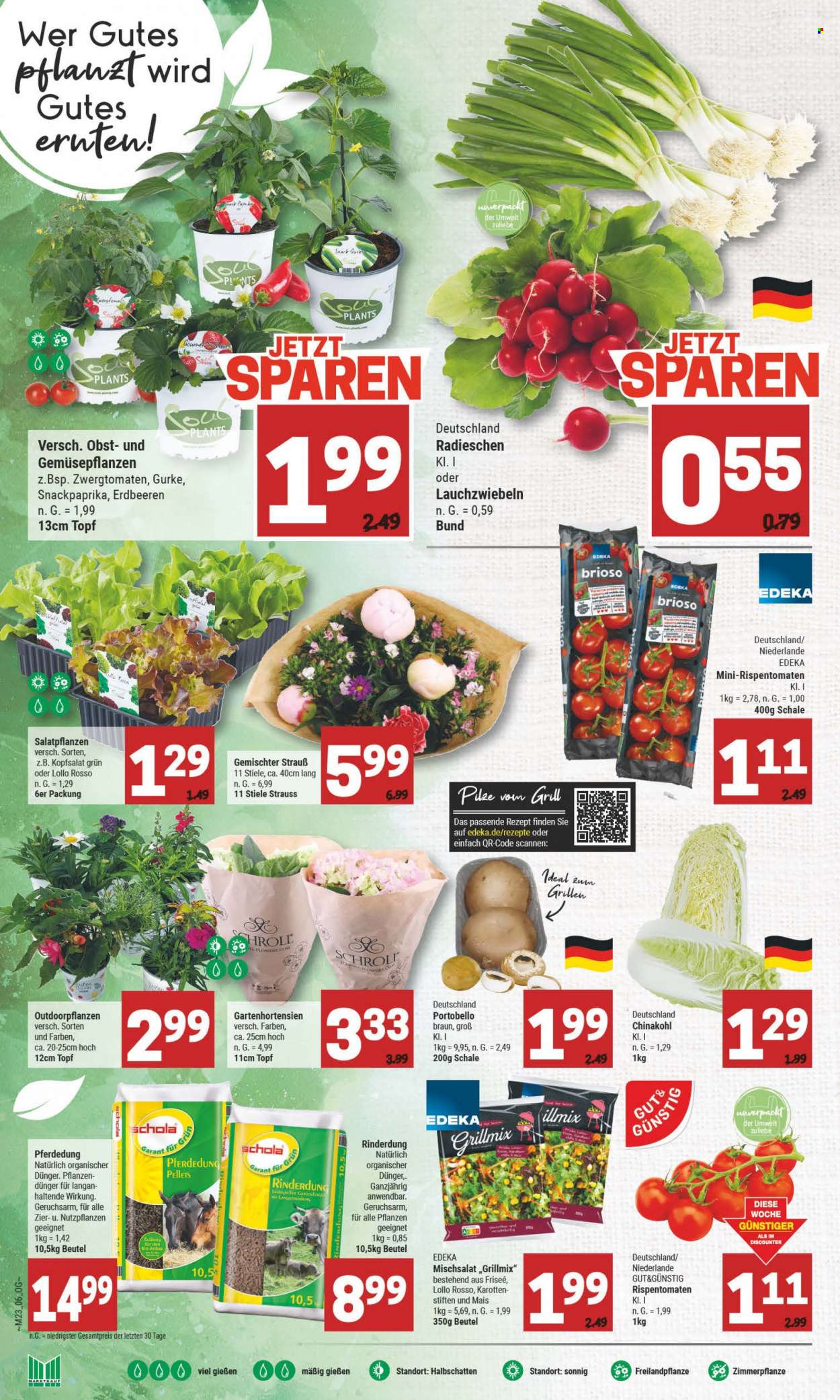 Marktkauf Prospekte  - 7.06.2023 - 10.06.2023. Seite 6