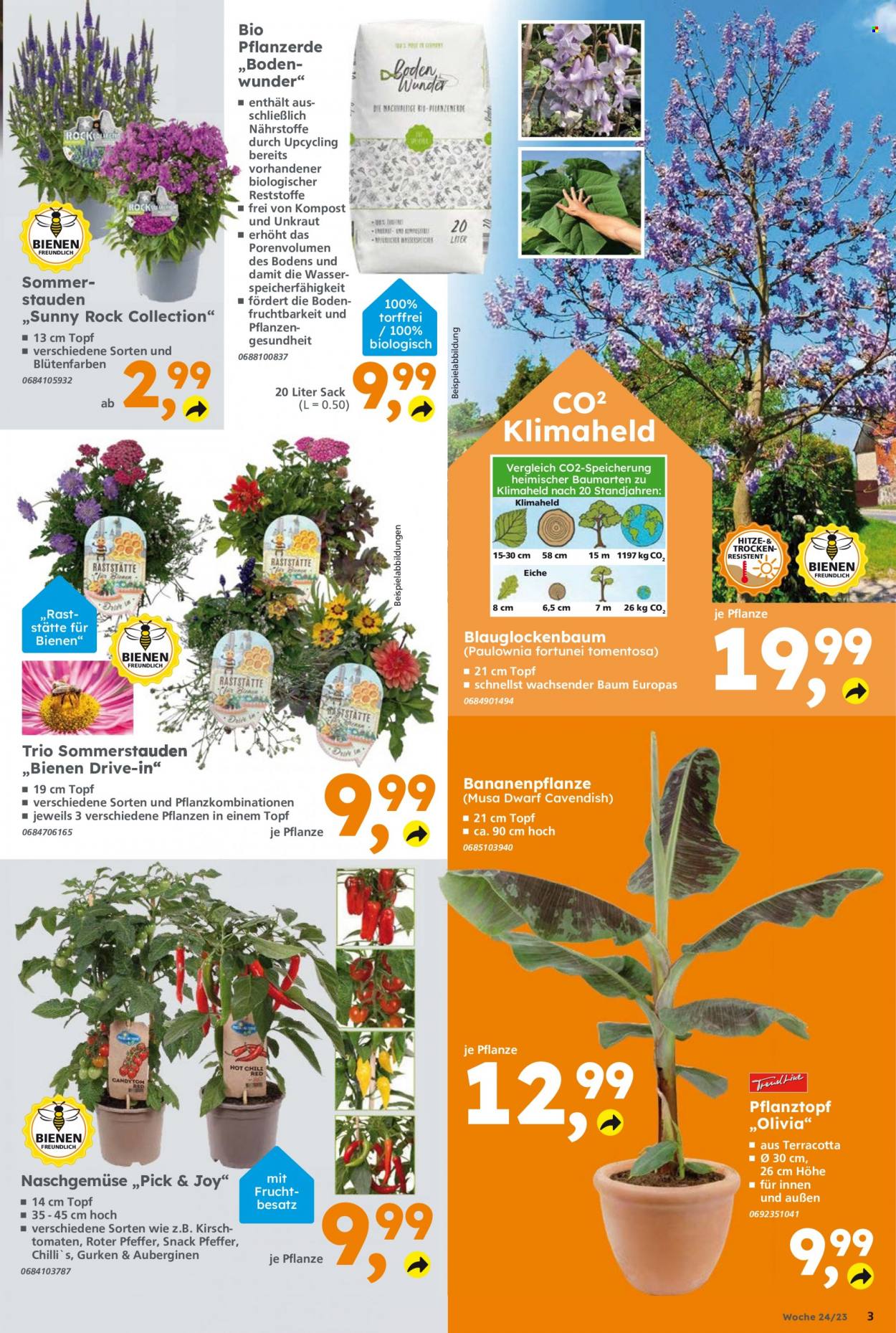 Globus Baumarkt Prospekte  - 12.06.2023 - 17.06.2023. Seite 3