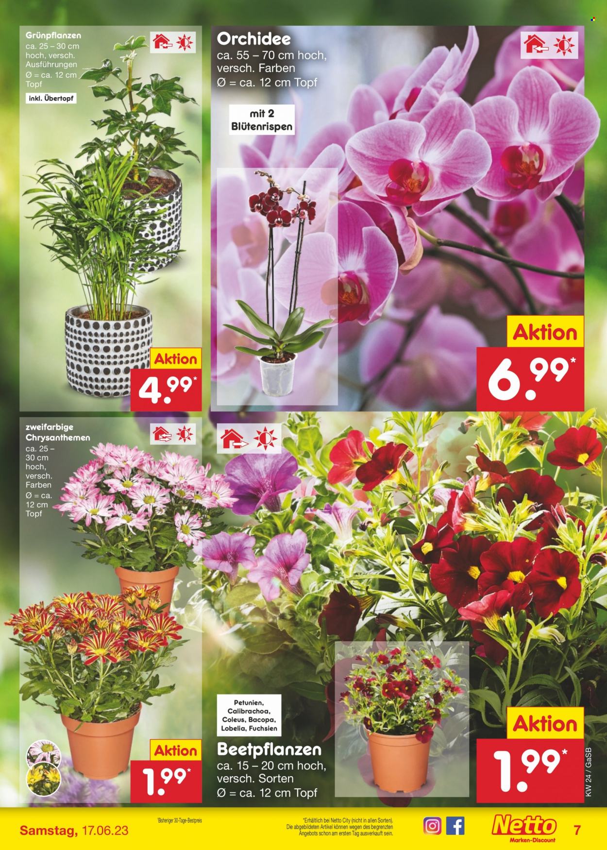 Netto Marken-Discount Prospekte  - 12.06.2023 - 17.06.2023. Seite 7
