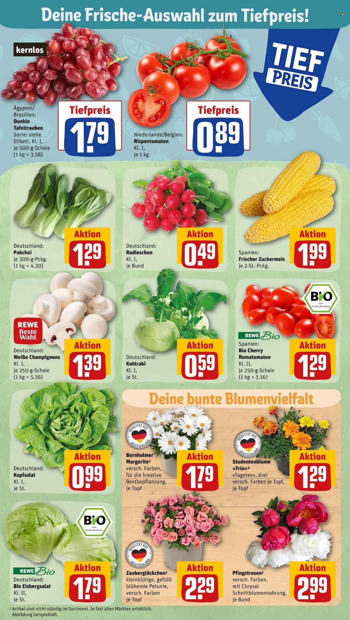 REWE Prospekte  - 12.06.2023 - 17.06.2023. Seite 5