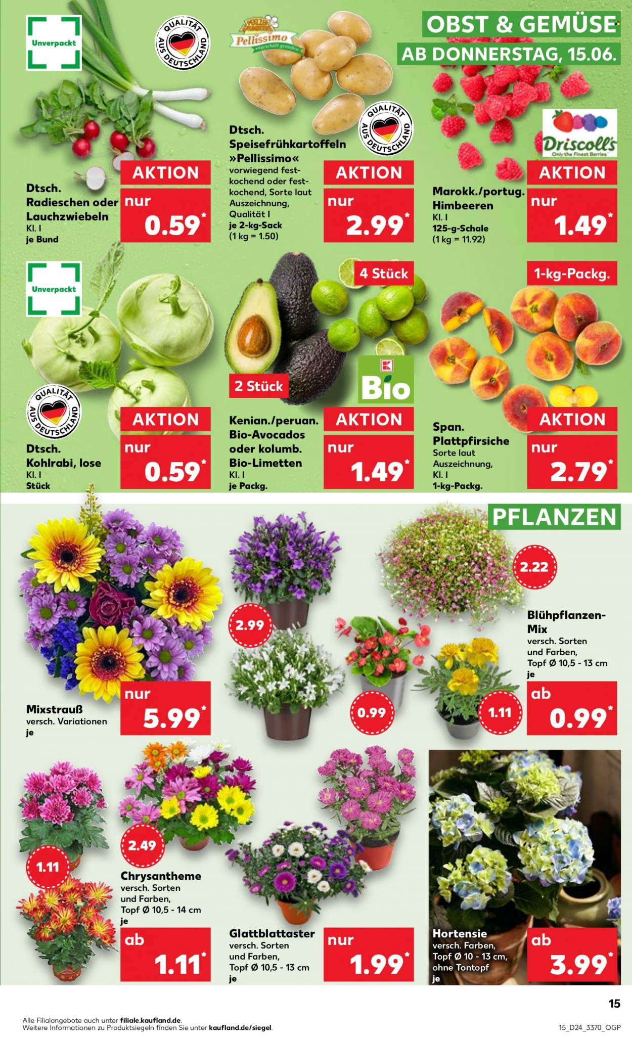 Kaufland Prospekte  - 15.06.2023 - 21.06.2023. Seite 15