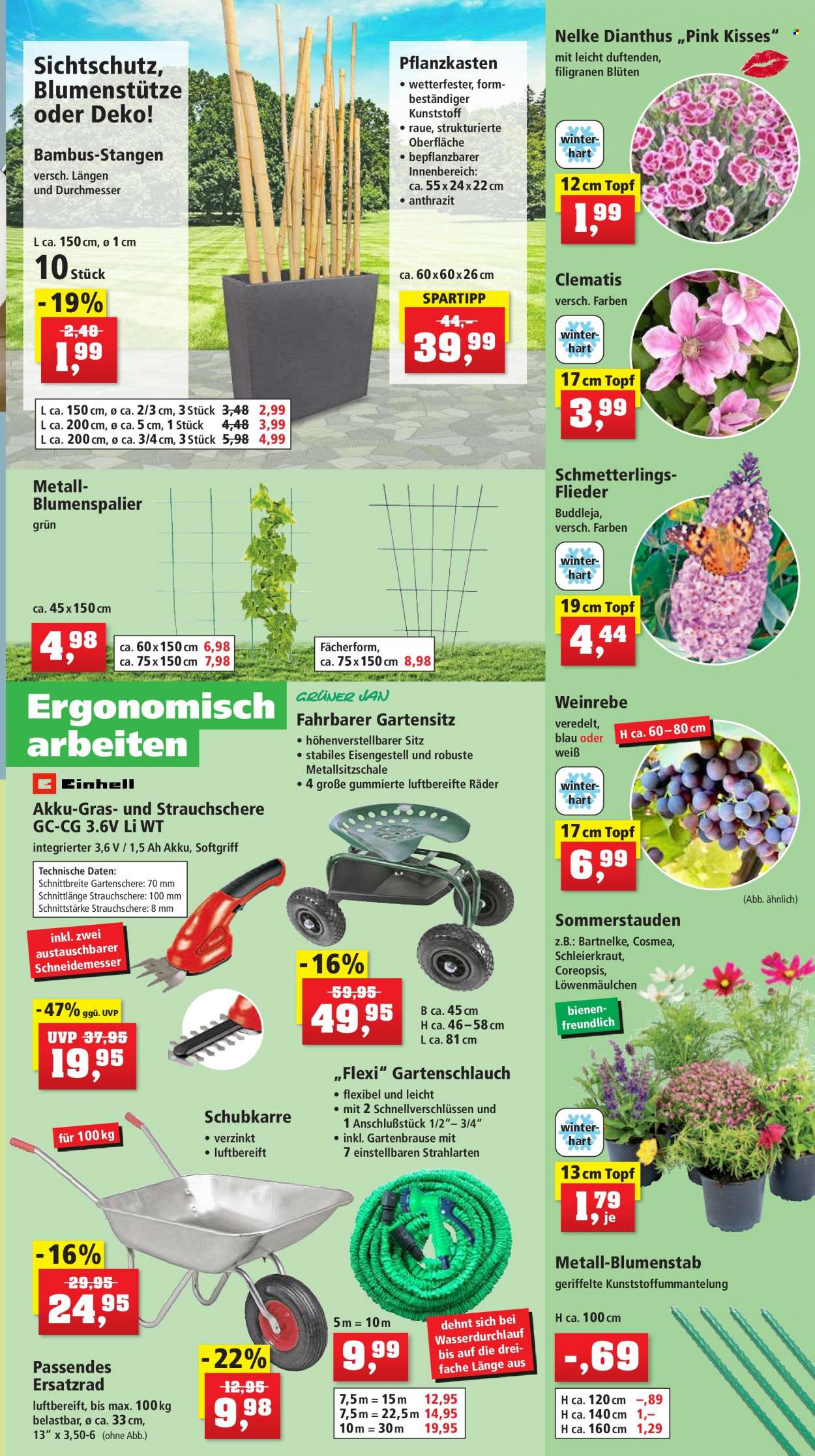 Thomas Philipps Prospekte  - 19.06.2023 - 24.06.2023. Seite 3
