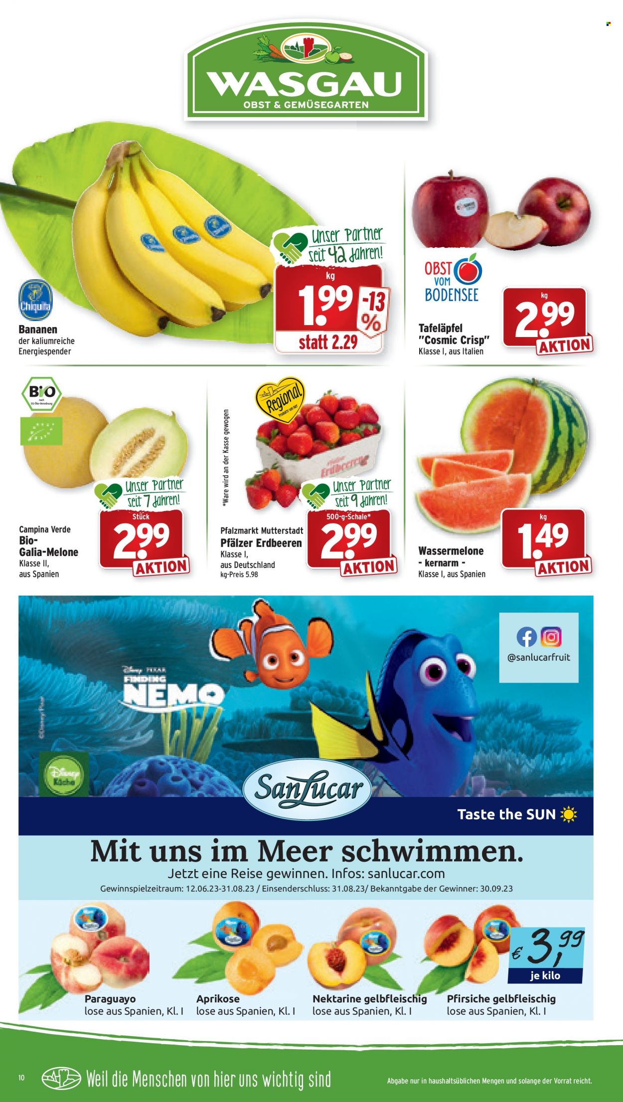 Wasgau Prospekte  - 19.06.2023 - 24.06.2023. Seite 10