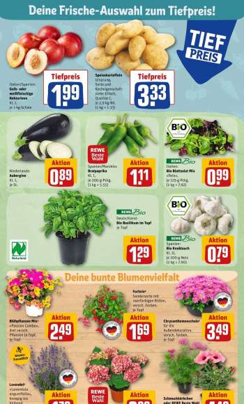 thumbnail - Spanien Bio Knoblauch Kl II je 100 - - Netz ( kg = 7.90