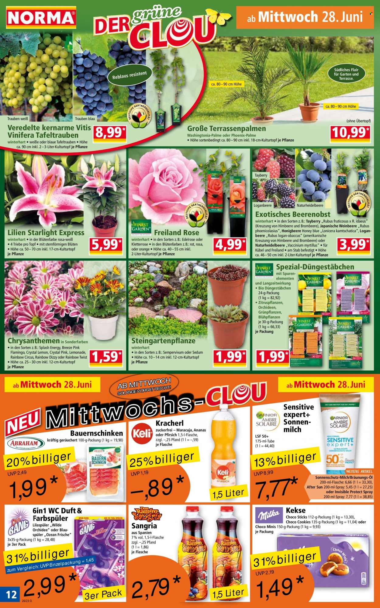Norma Prospekte  - 26.06.2023 - 2.07.2023. Seite 12