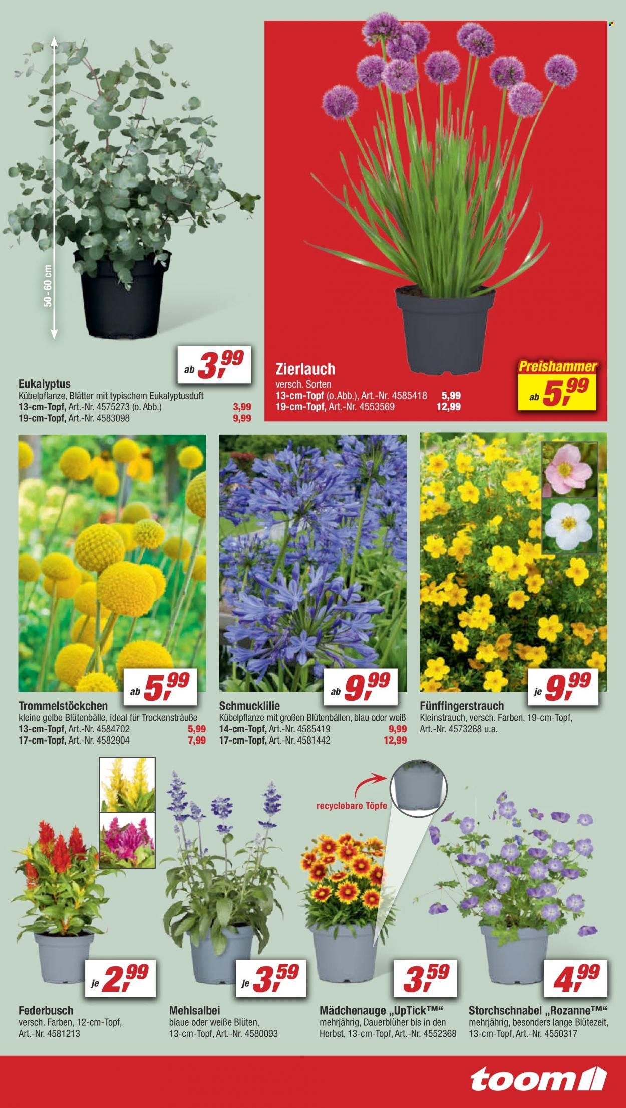 toom Baumarkt Prospekte  - 24.06.2023 - 30.06.2023. Seite 7
