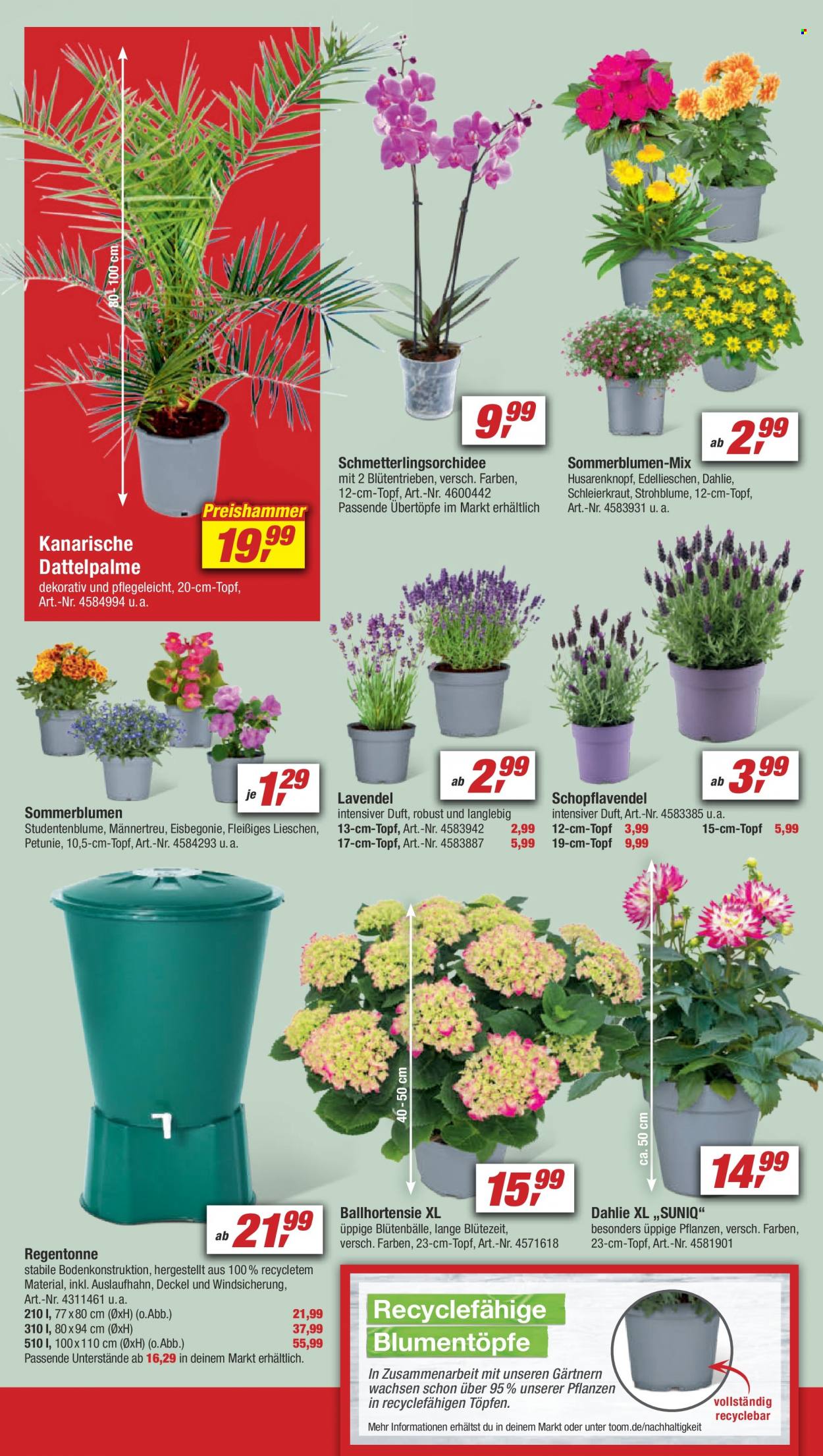toom Baumarkt Prospekte  - 24.06.2023 - 30.06.2023. Seite 8
