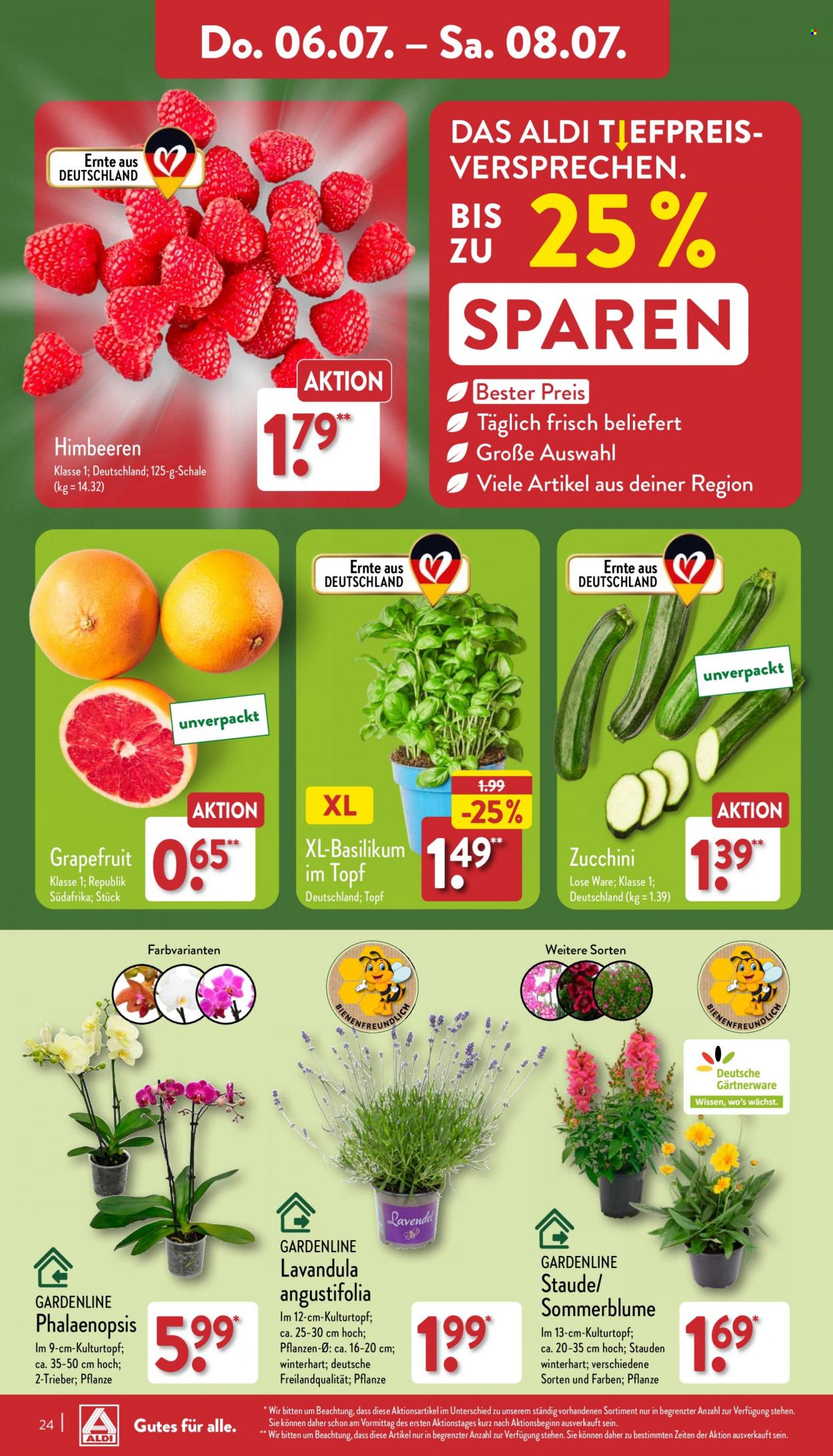 ALDI Nord Prospekte  - 3.07.2023 - 8.07.2023. Seite 24