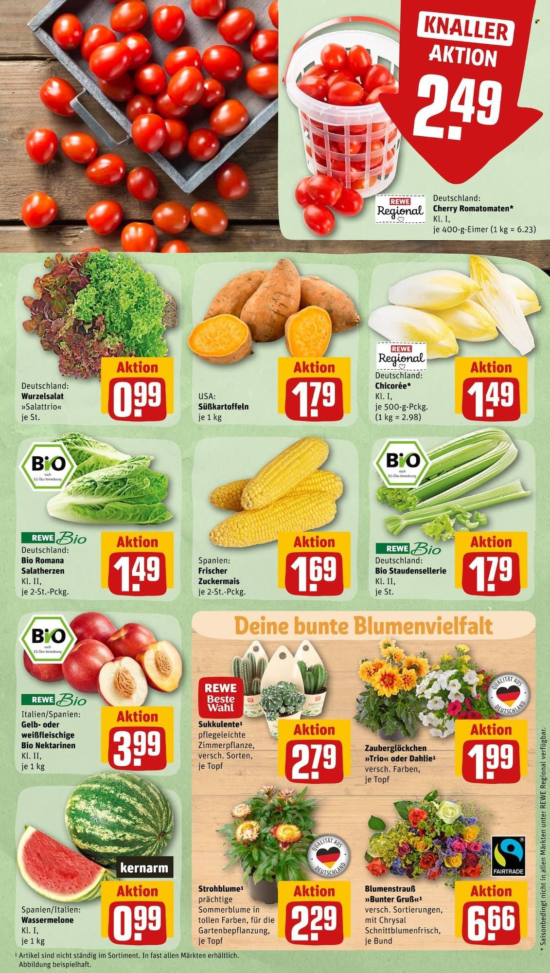 REWE Prospekte  - 26.06.2023 - 1.07.2023. Seite 5