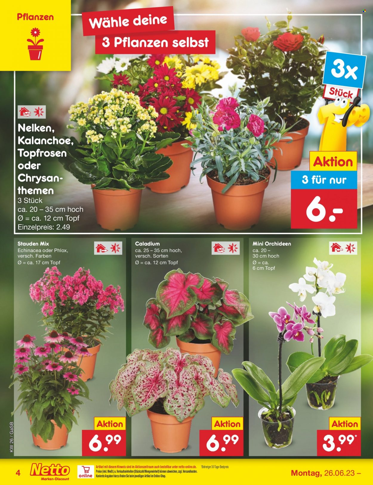 Netto Marken-Discount Prospekte  - 26.06.2023 - 1.07.2023. Seite 4