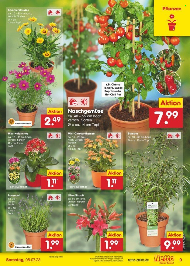 Netto Marken-Discount Prospekte  - 3.07.2023 - 8.07.2023. Seite 9
