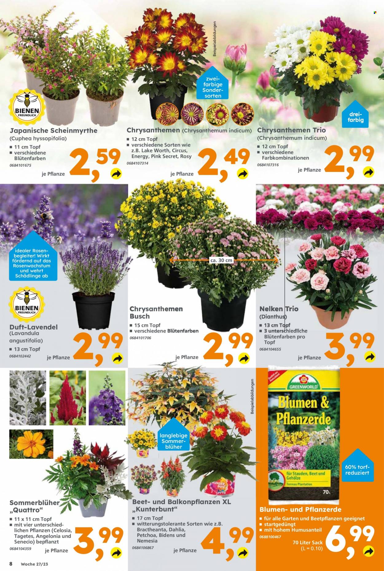 Globus Baumarkt Prospekte  - 3.07.2023 - 8.07.2023. Seite 8