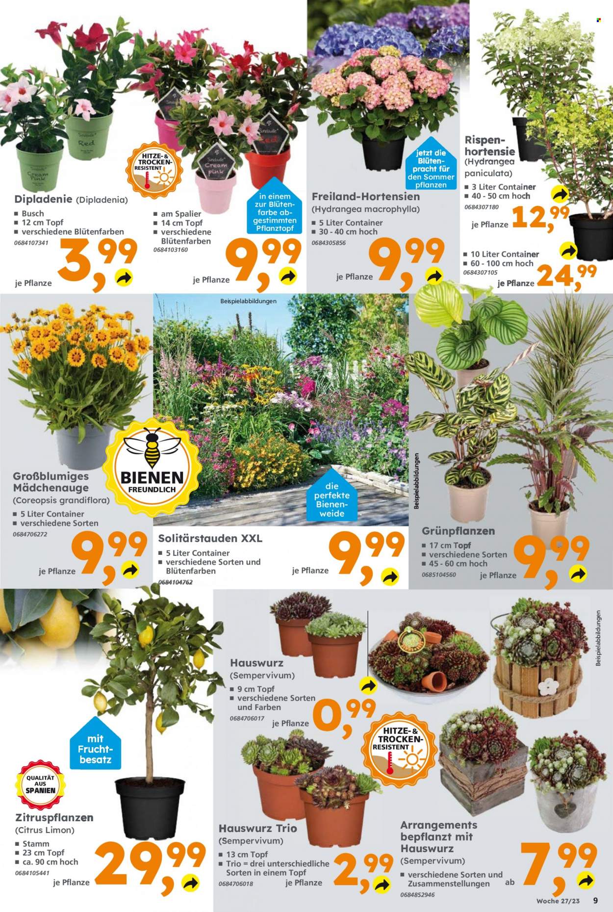 Globus Baumarkt Prospekte  - 3.07.2023 - 8.07.2023. Seite 9