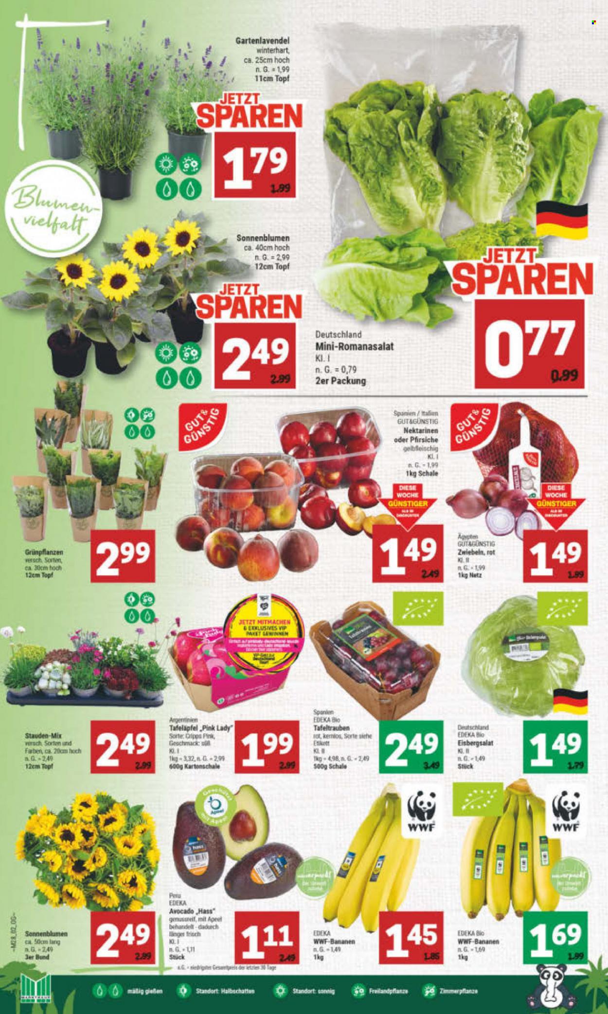 Marktkauf Prospekte  - 10.07.2023 - 15.07.2023. Seite 2