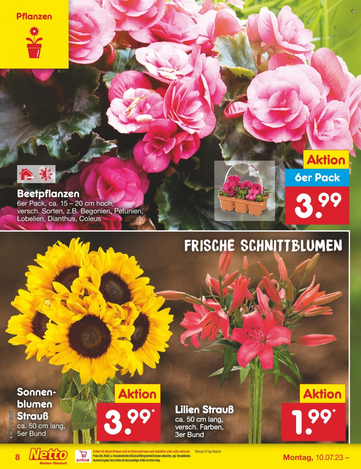 Netto Marken-Discount Prospekte  - 10.07.2023 - 15.07.2023. Seite 8