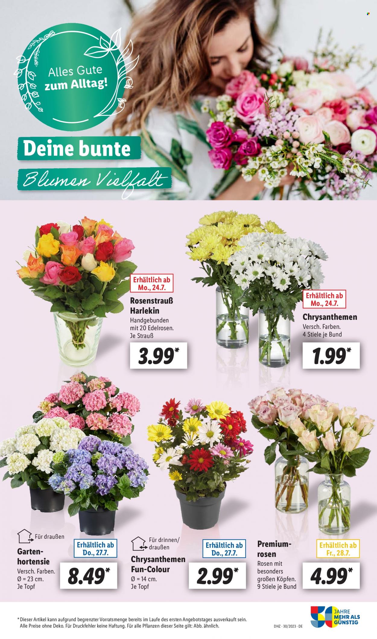 Lidl Prospekte  - 24.07.2023 - 29.07.2023. Seite 63