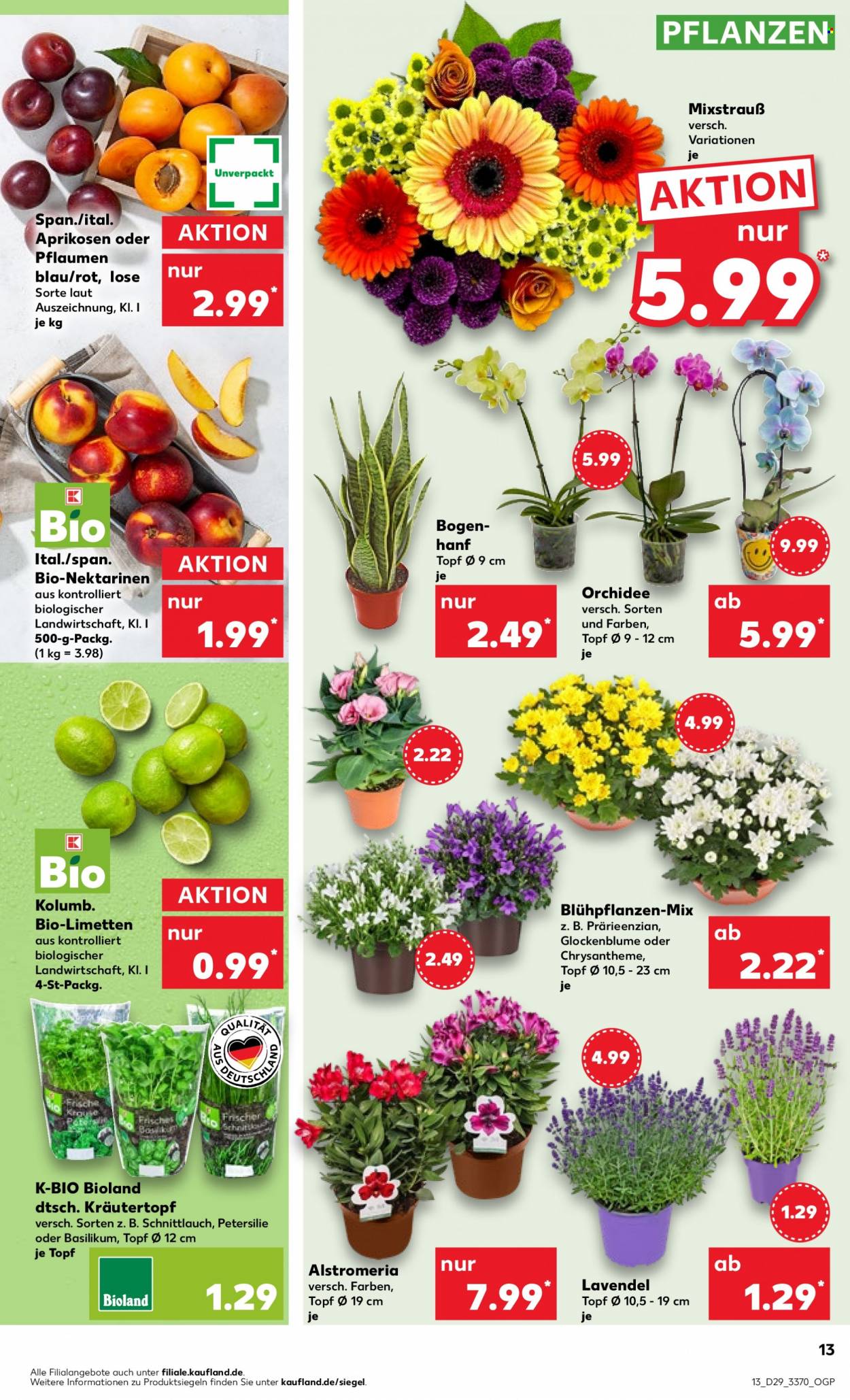 Kaufland Prospekte  - 20.07.2023 - 26.07.2023. Seite 15