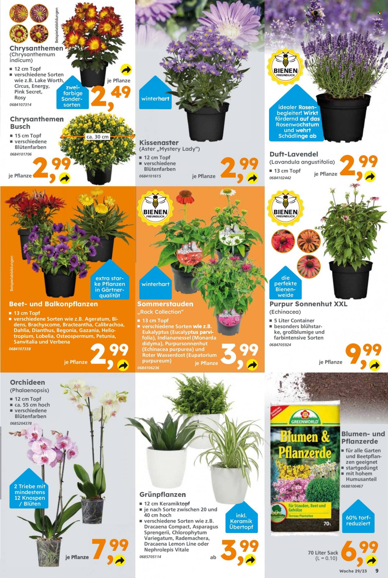 Globus Baumarkt Prospekte  - 17.07.2023 - 22.07.2023. Seite 9