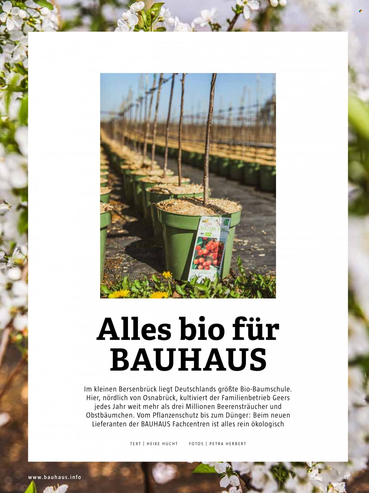 Bauhaus Prospekte  - 1.07.2023 - 31.10.2023. Seite 41
