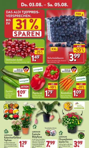 thumbnail - GARDENLINE Kalanchoe / Gerbera /