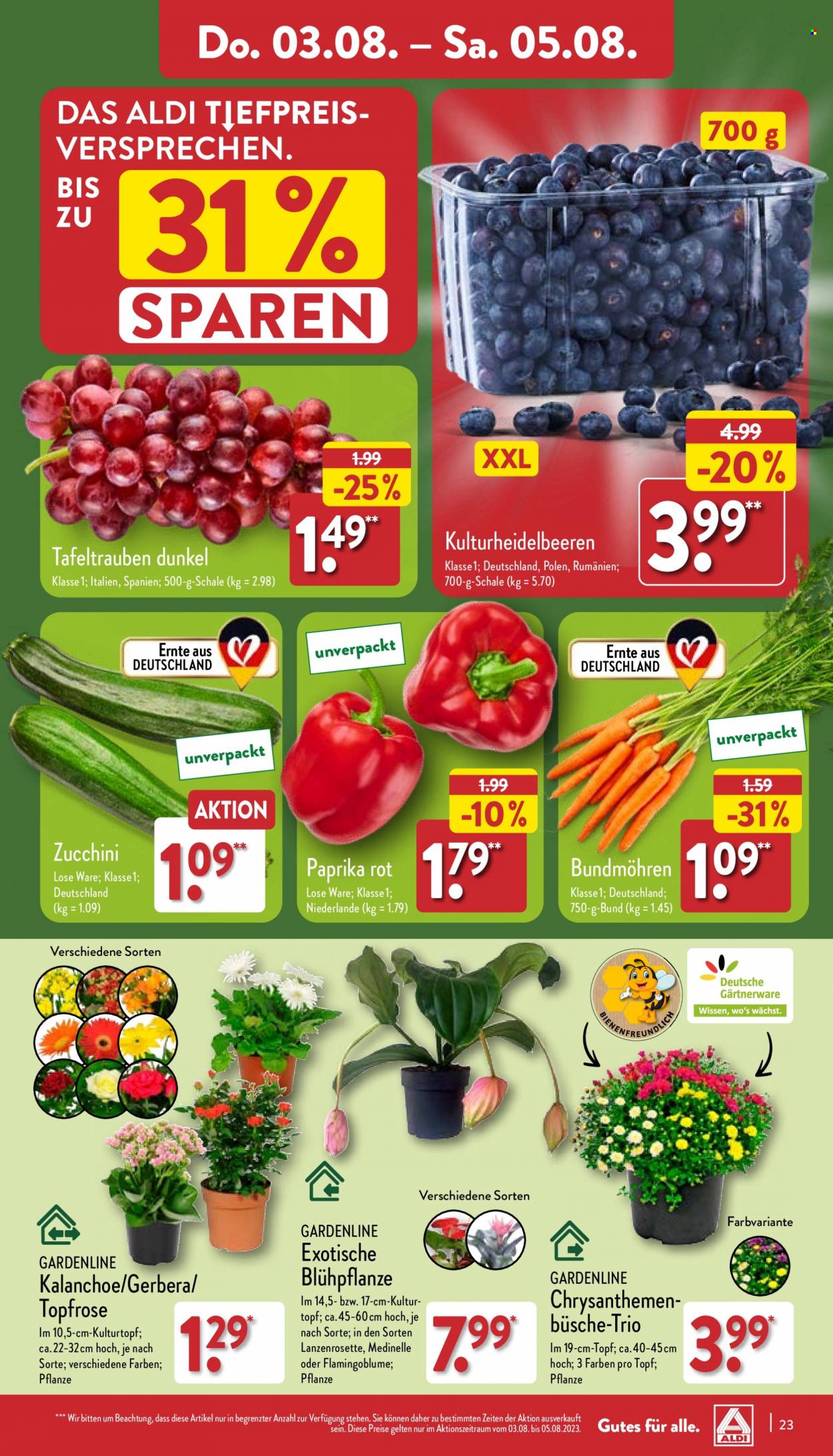 ALDI Nord Prospekte  - 31.07.2023 - 5.08.2023. Seite 23