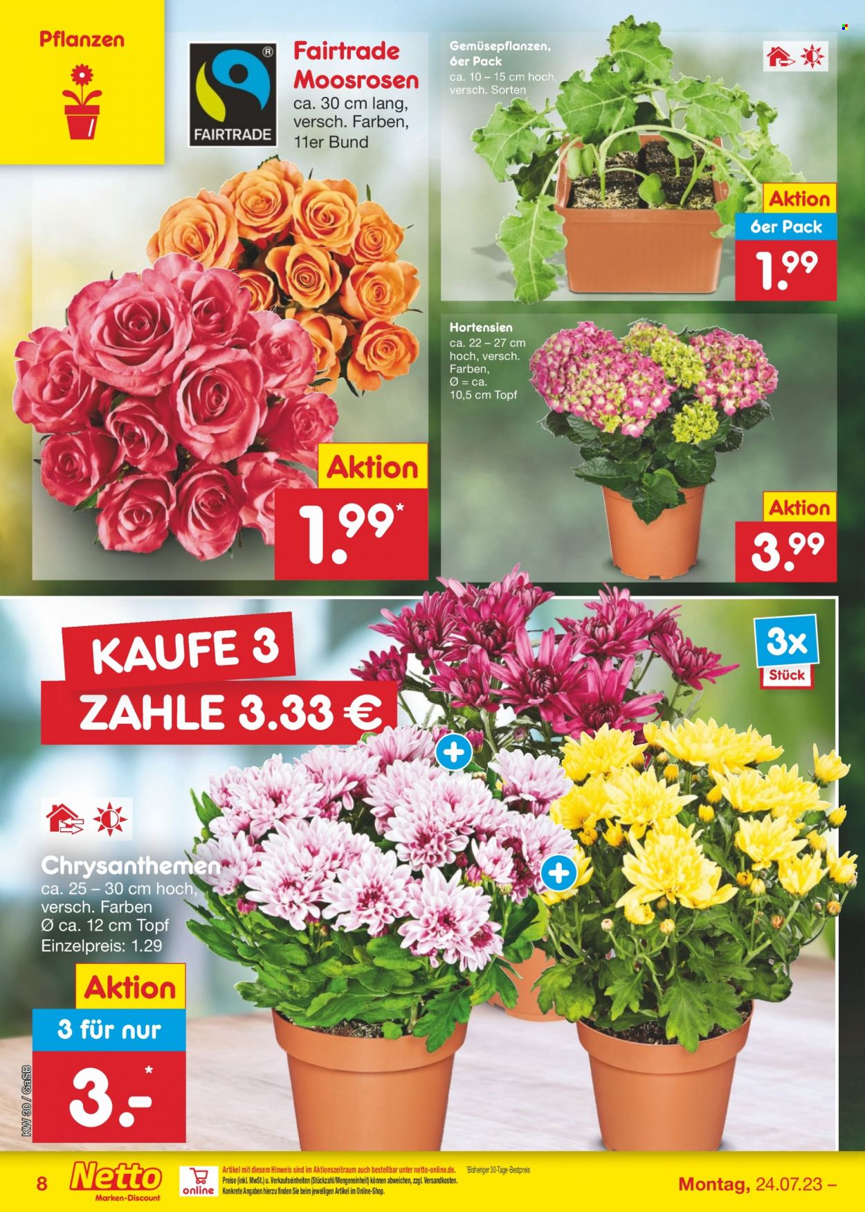 Netto Marken-Discount Prospekte  - 24.07.2023 - 29.07.2023. Seite 8