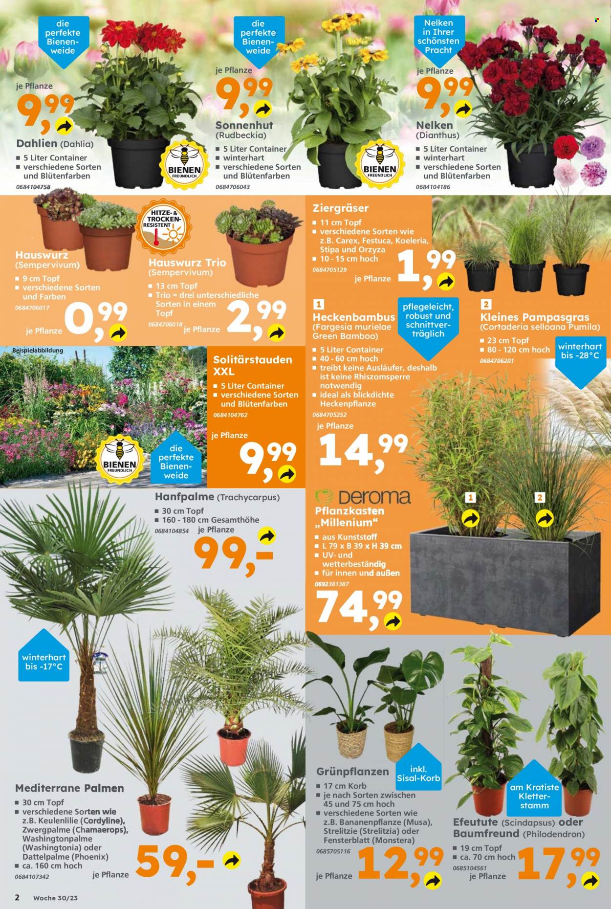 Globus Baumarkt Prospekte  - 24.07.2023 - 29.07.2023. Seite 2