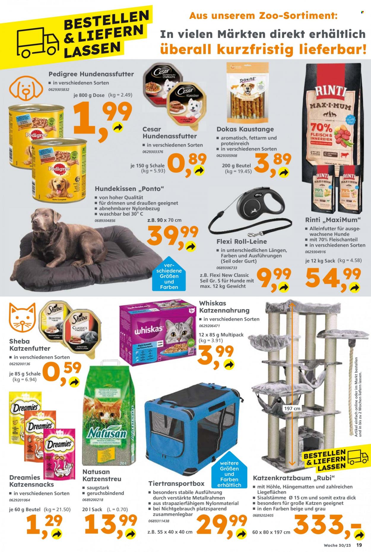 Globus Baumarkt Prospekte  - 24.07.2023 - 29.07.2023. Seite 19