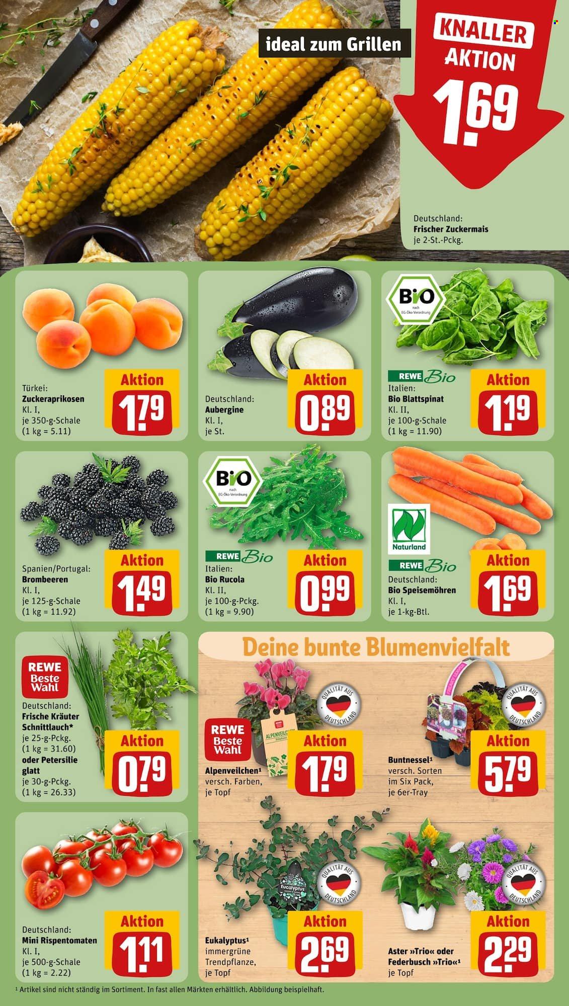 REWE Prospekte  - 24.07.2023 - 29.07.2023. Seite 7