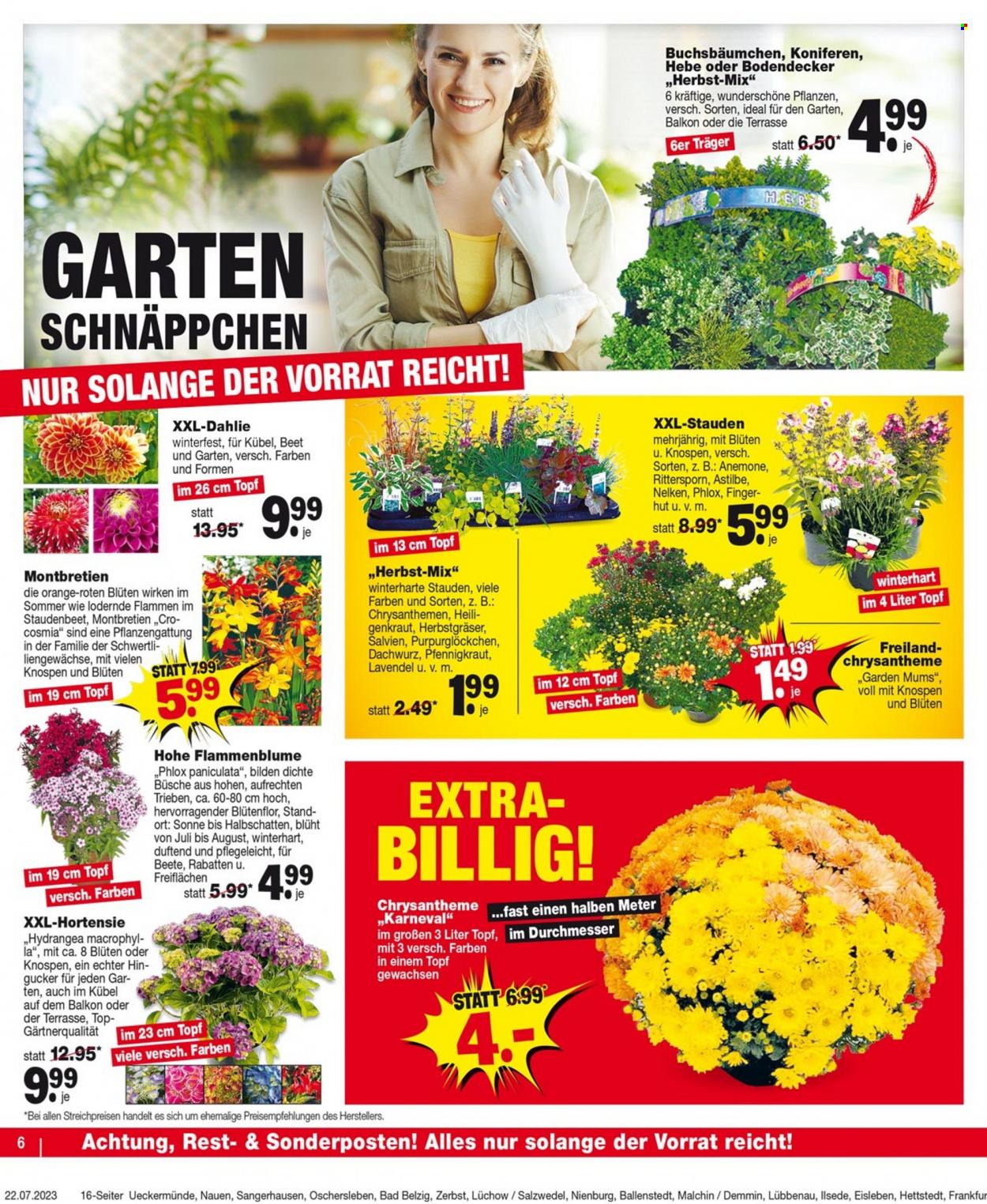 Repo Prospekte  - 24.07.2023 - 29.07.2023. Seite 6