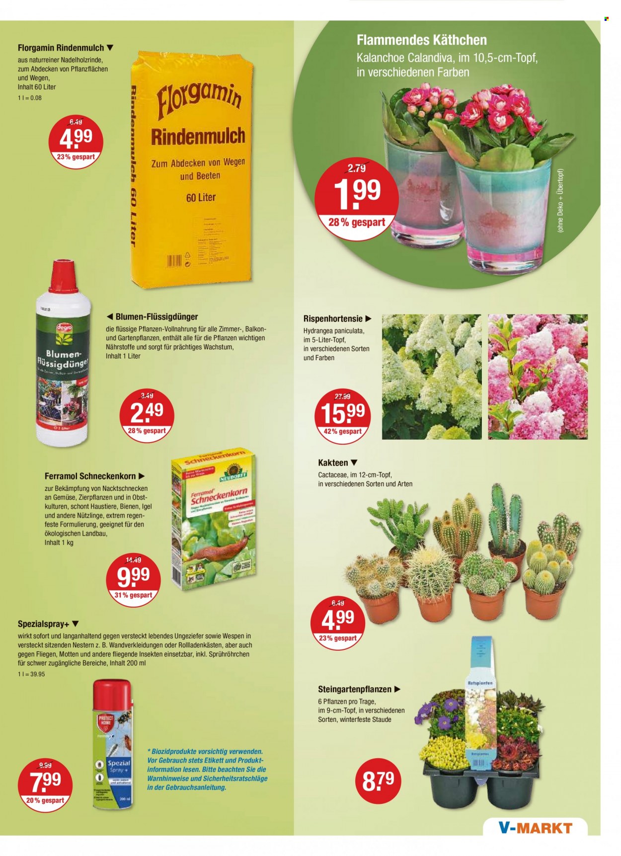 V-Markt Prospekte  - 3.08.2023 - 9.08.2023. Seite 19