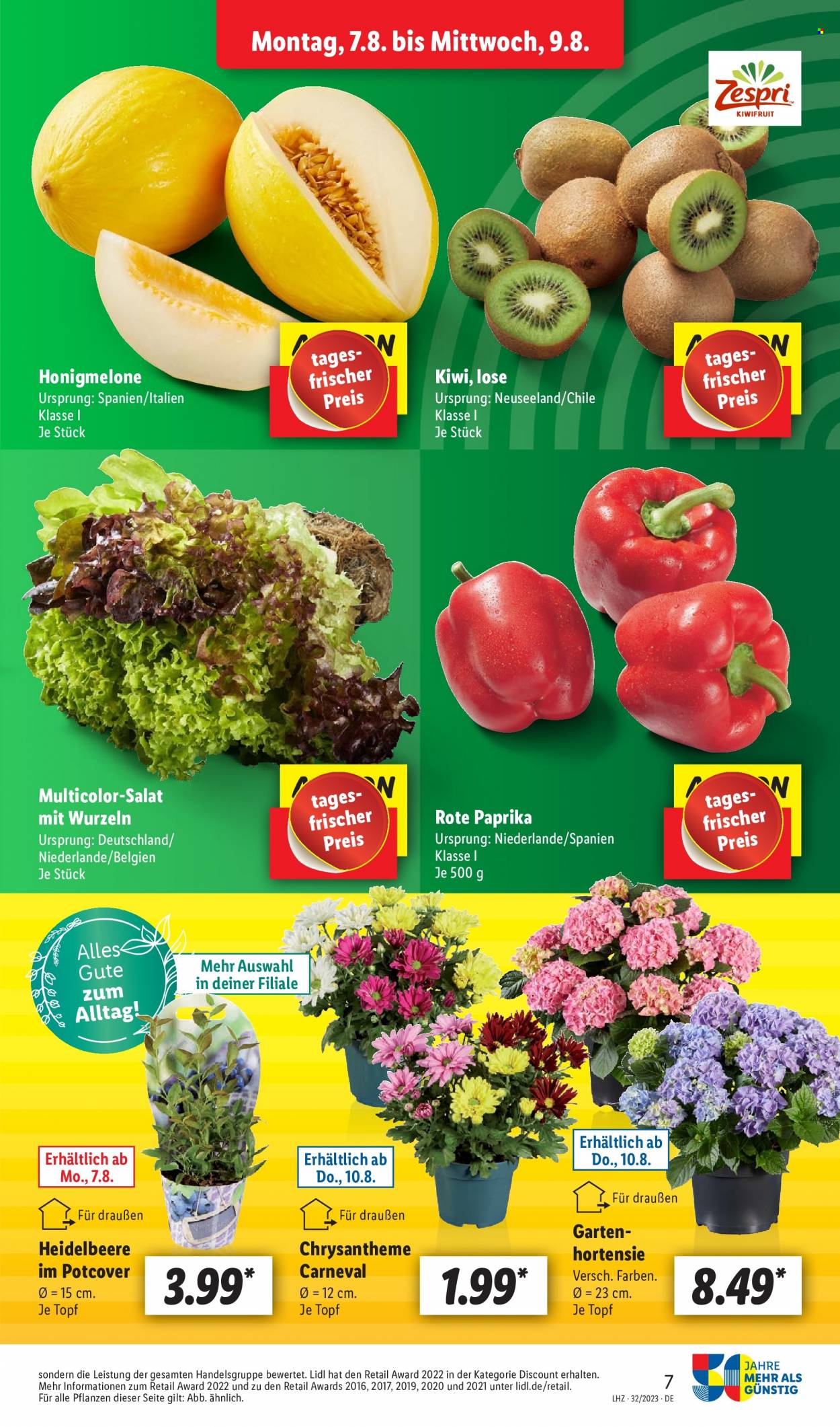 Lidl Prospekte  - 7.08.2023 - 12.08.2023. Seite 7