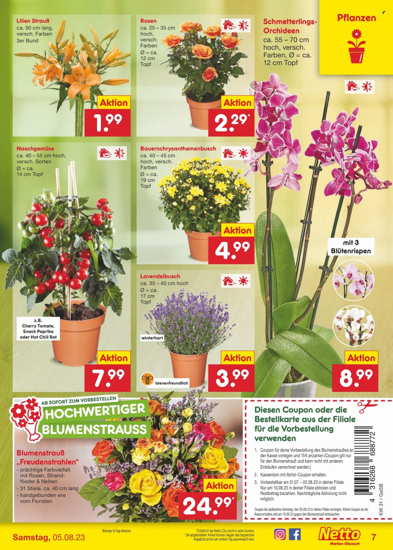 Netto Marken-Discount Prospekte  - 31.07.2023 - 5.08.2023. Seite 7