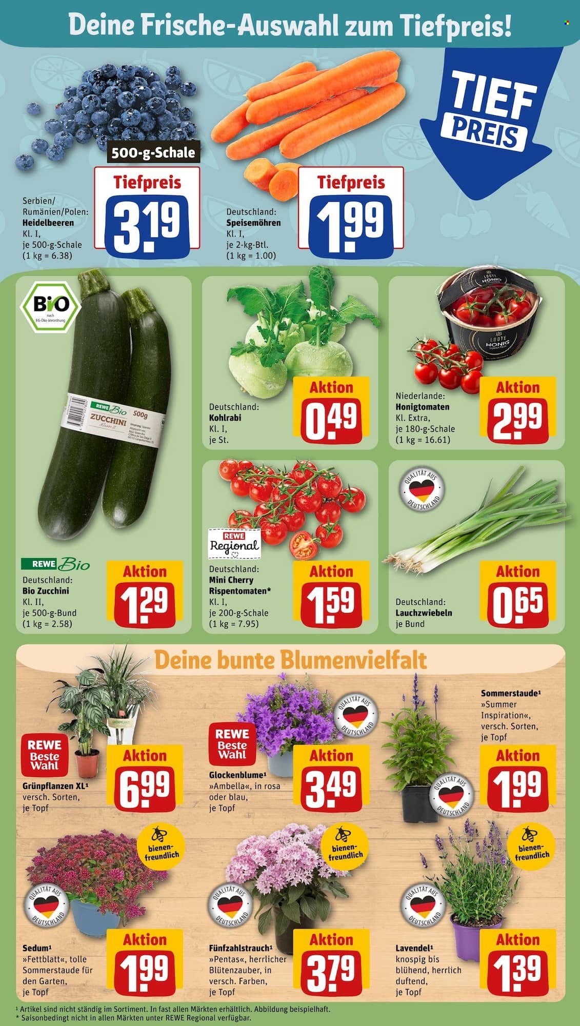 REWE Prospekte  - 31.07.2023 - 5.08.2023. Seite 7