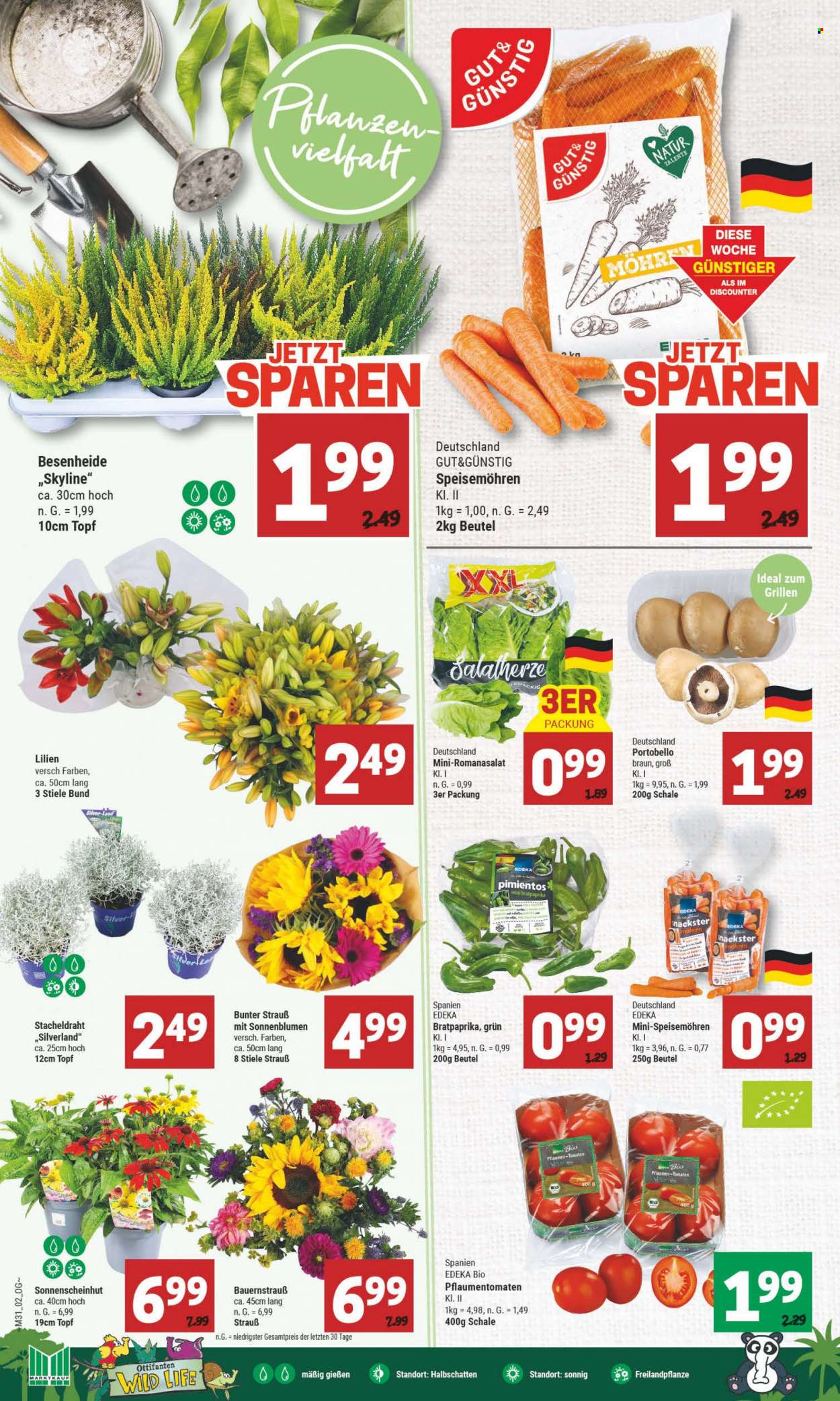 Marktkauf Prospekte  - 31.07.2023 - 5.08.2023. Seite 2