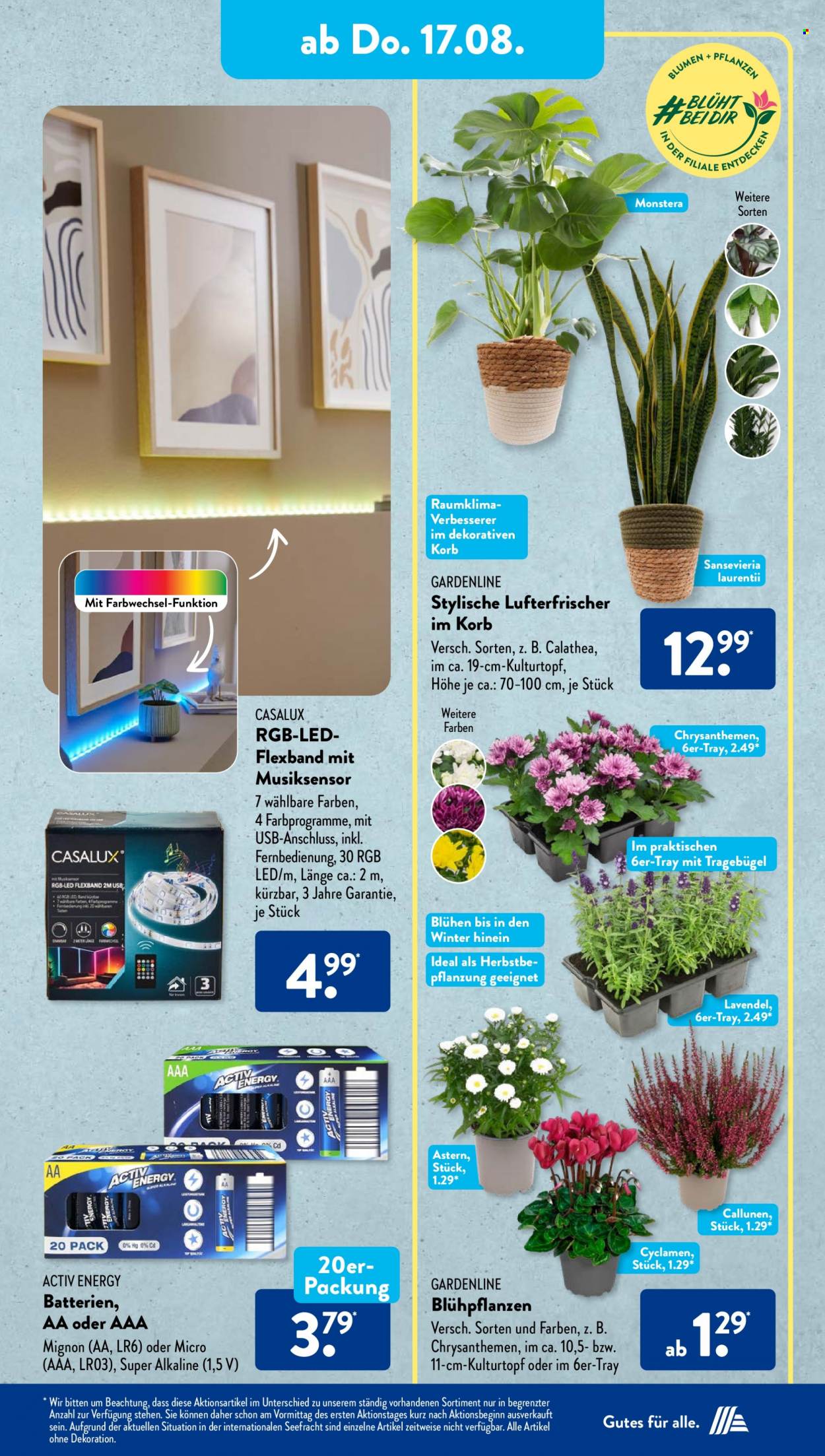 ALDI SÜD Prospekte  - 14.08.2023 - 19.08.2023. Seite 21