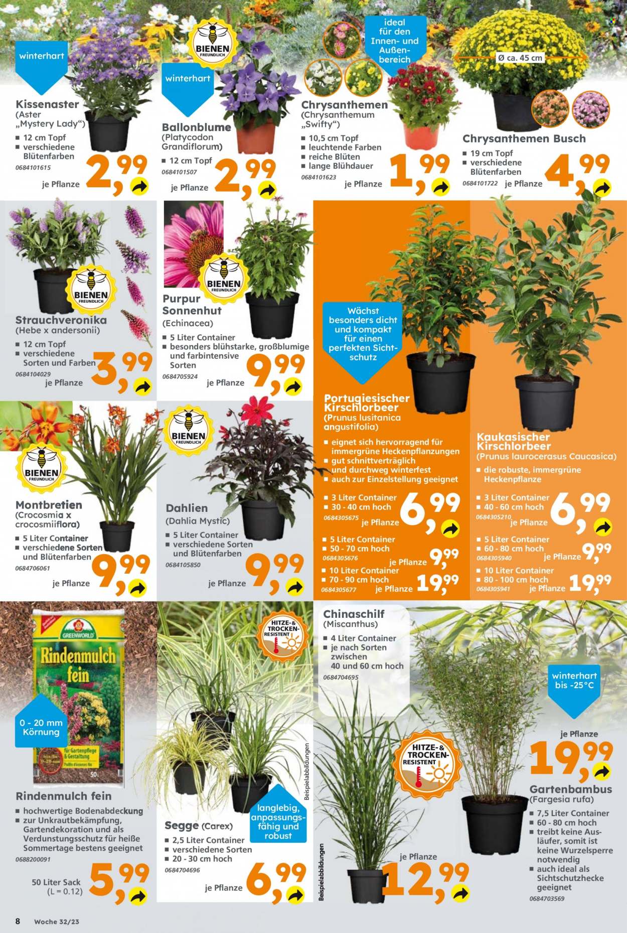 Globus Baumarkt Prospekte  - 7.08.2023 - 12.08.2023. Seite 8